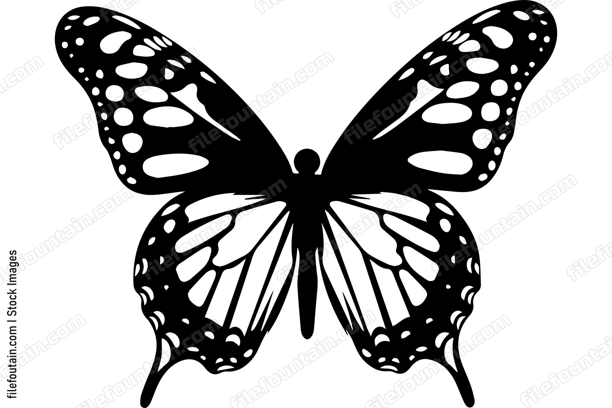 Monarch Butterfly