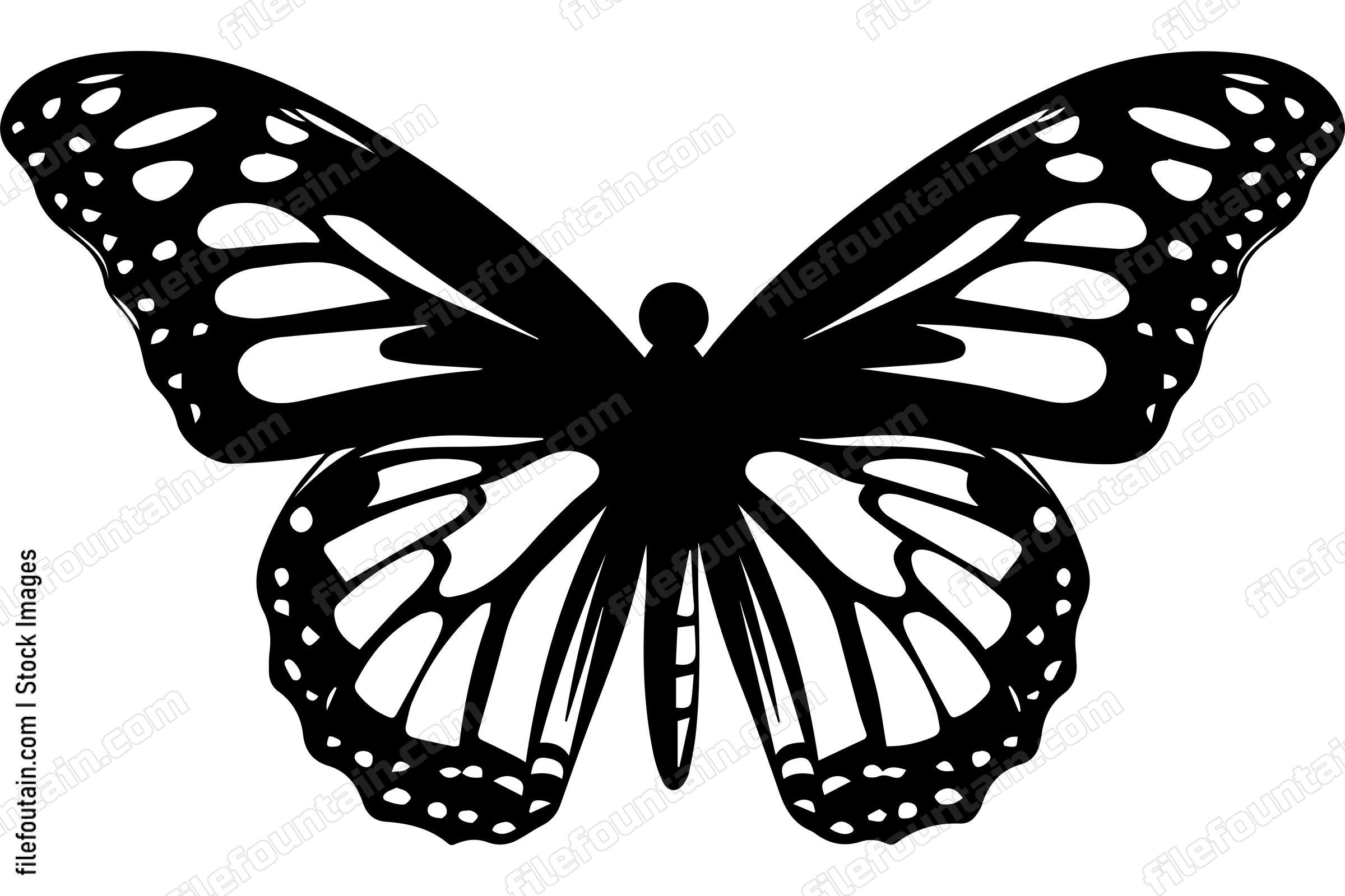 Monarch Butterfly