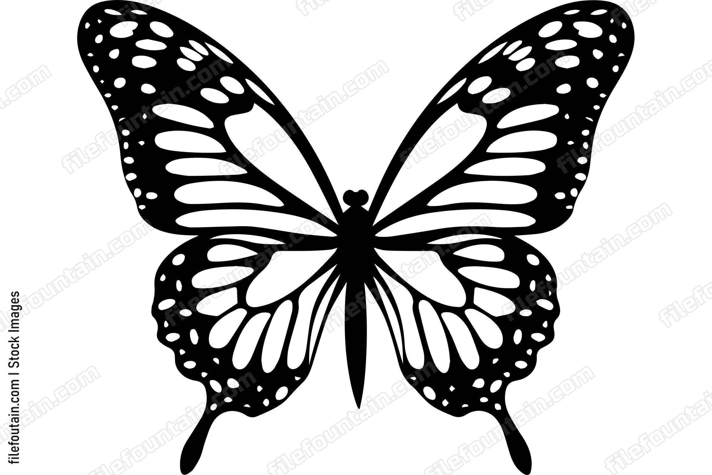 Monarch Butterfly
