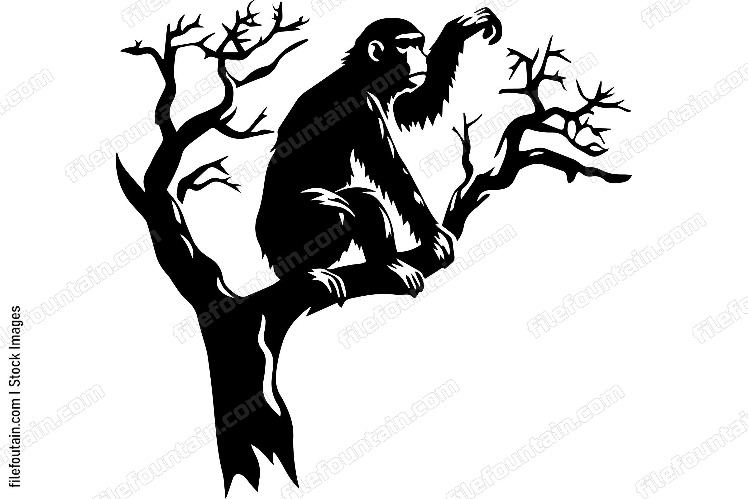 Monkey On A Tree Branch