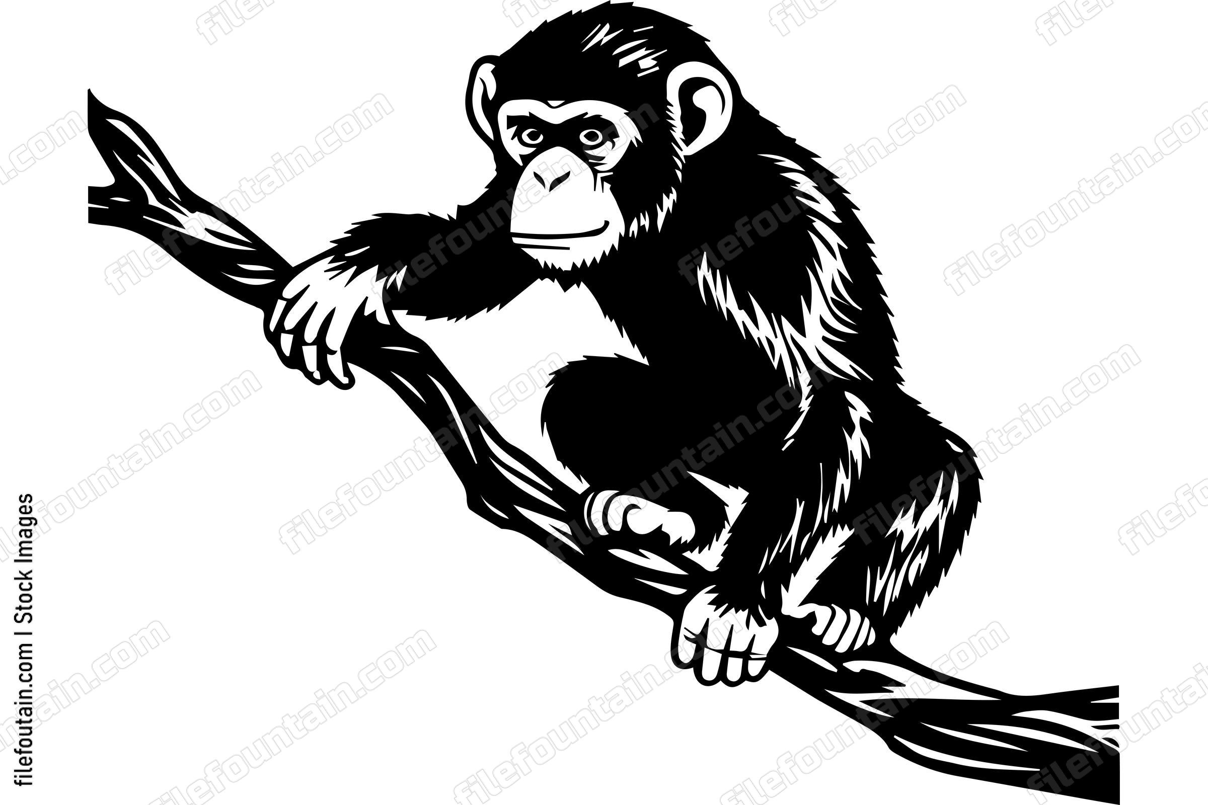 Monkey On A Tree Branch