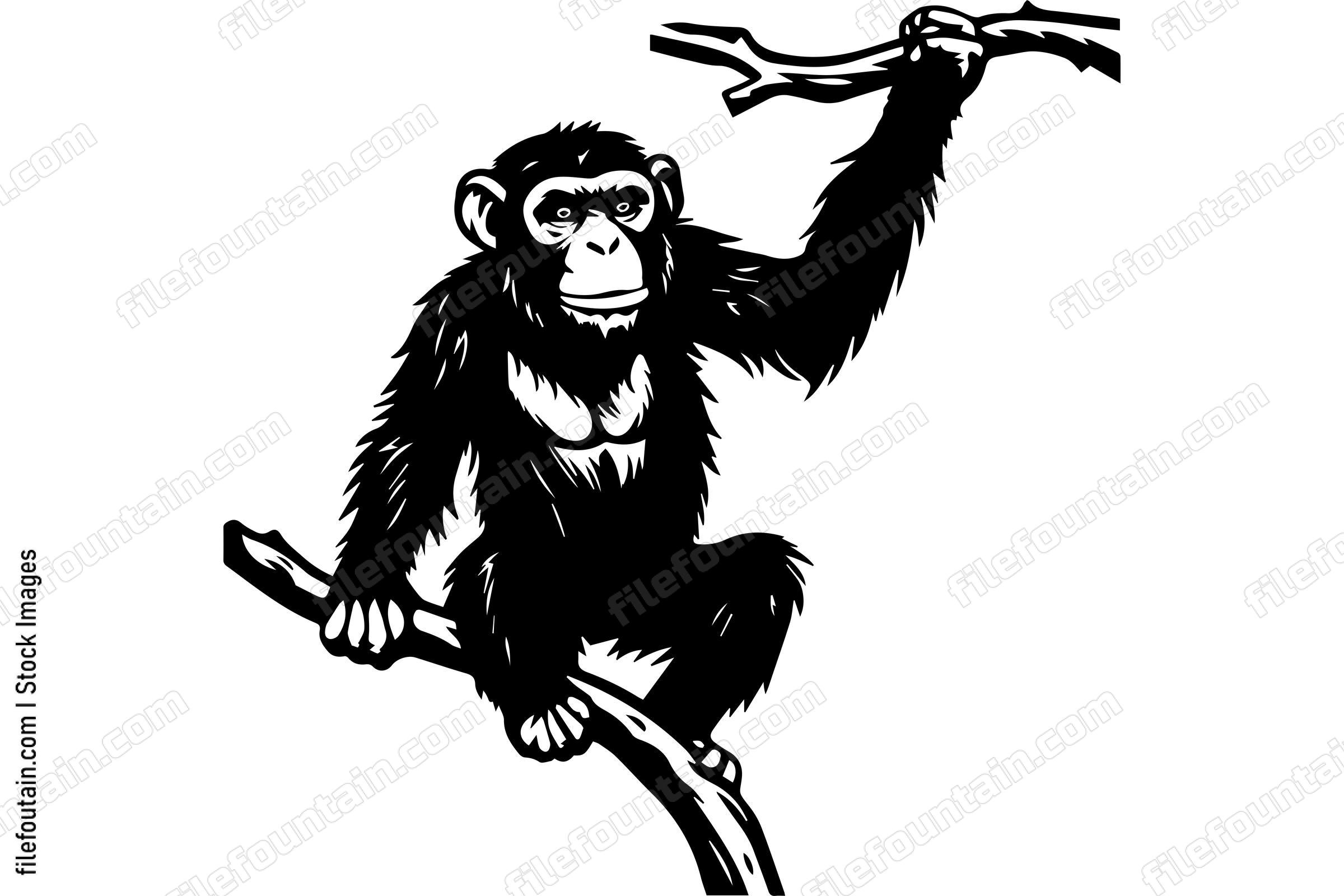Monkey On A Tree Branch