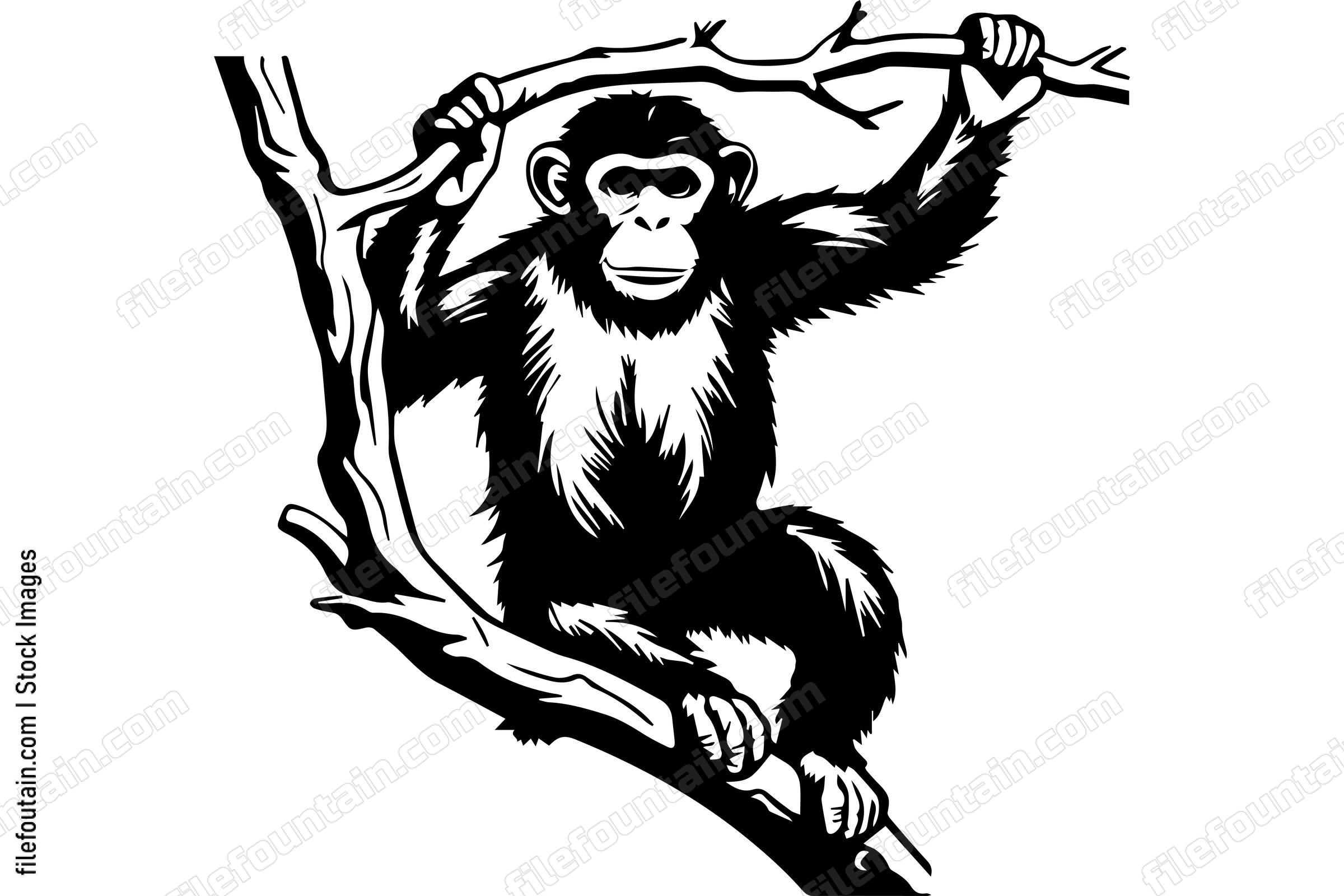 Monkey On A Tree Branch
