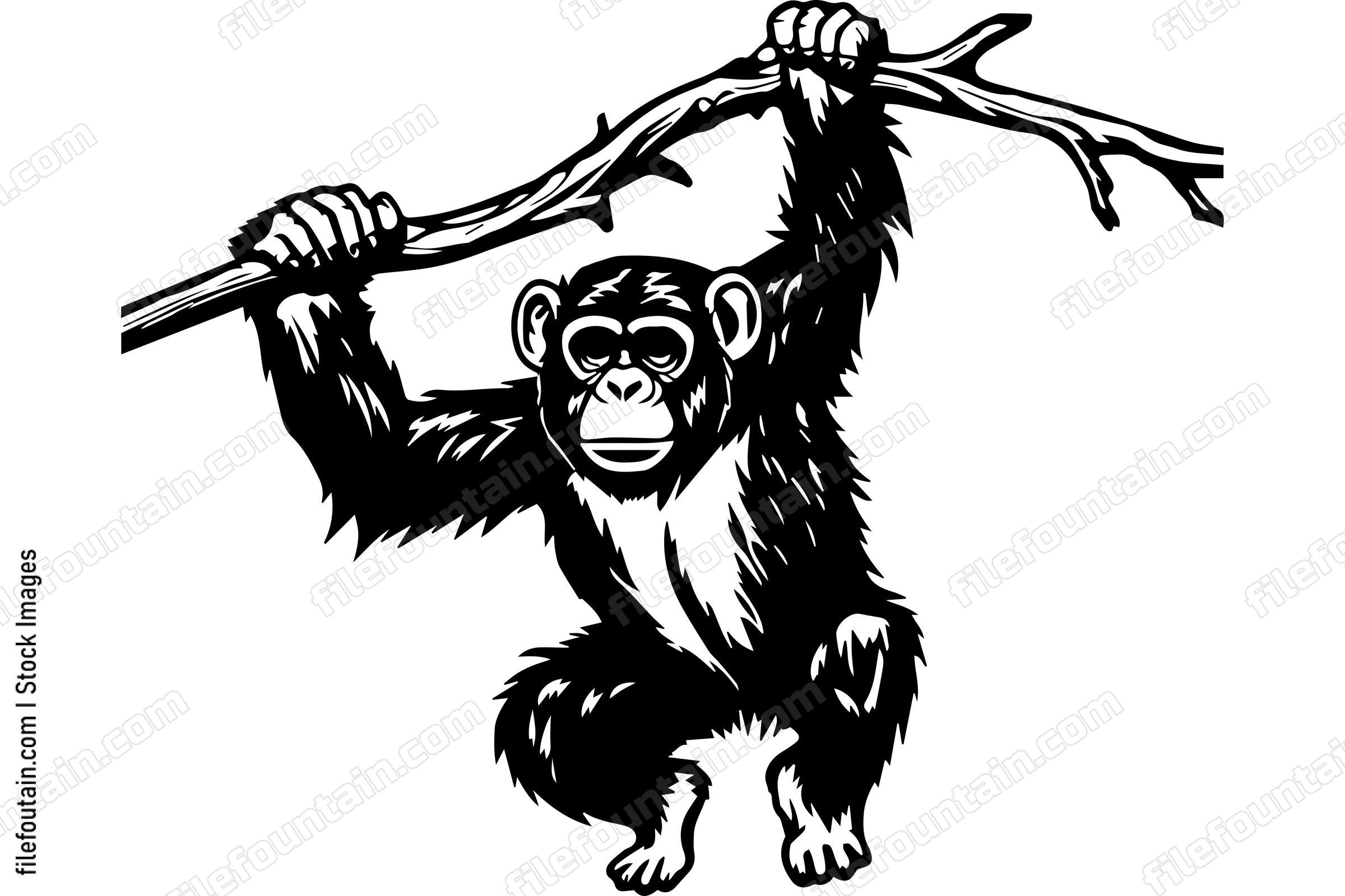 Monkey On A Tree Branch