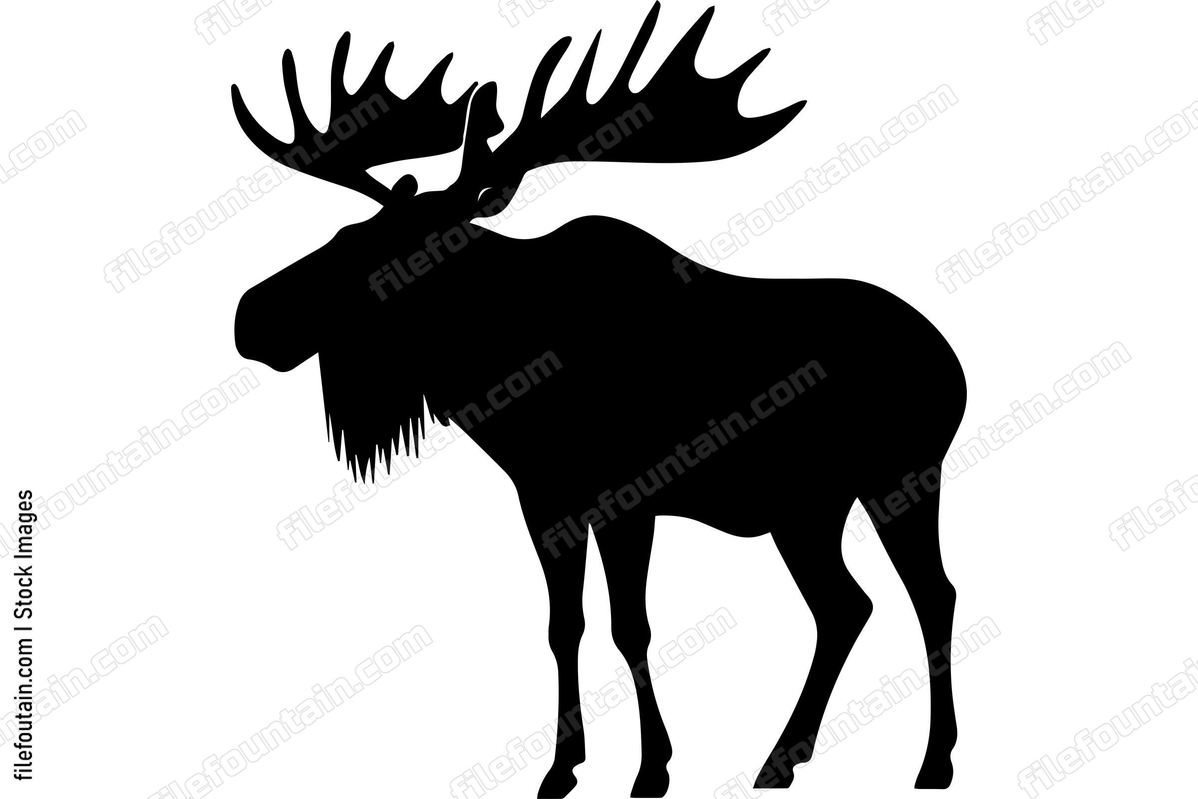 Moose