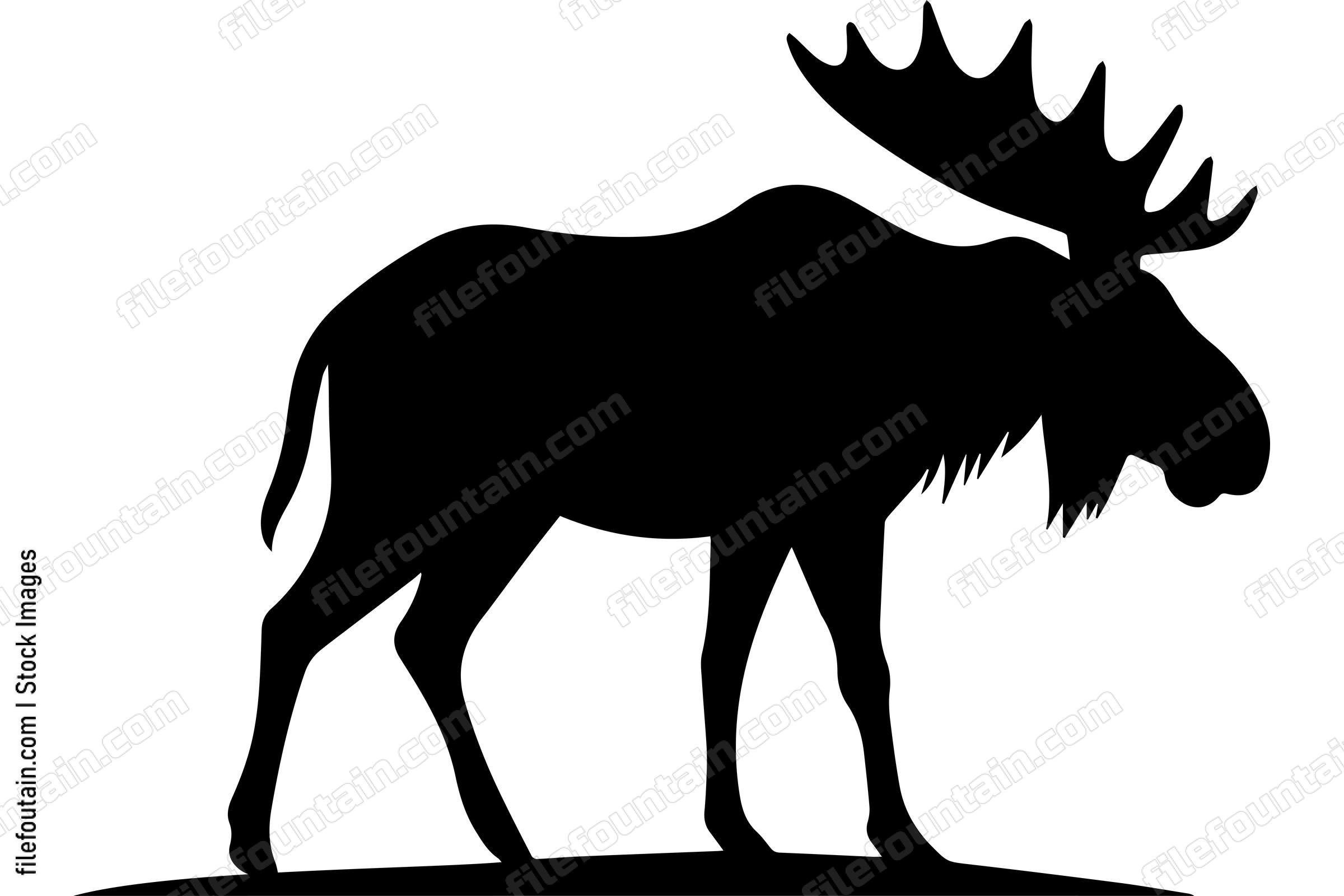 Moose