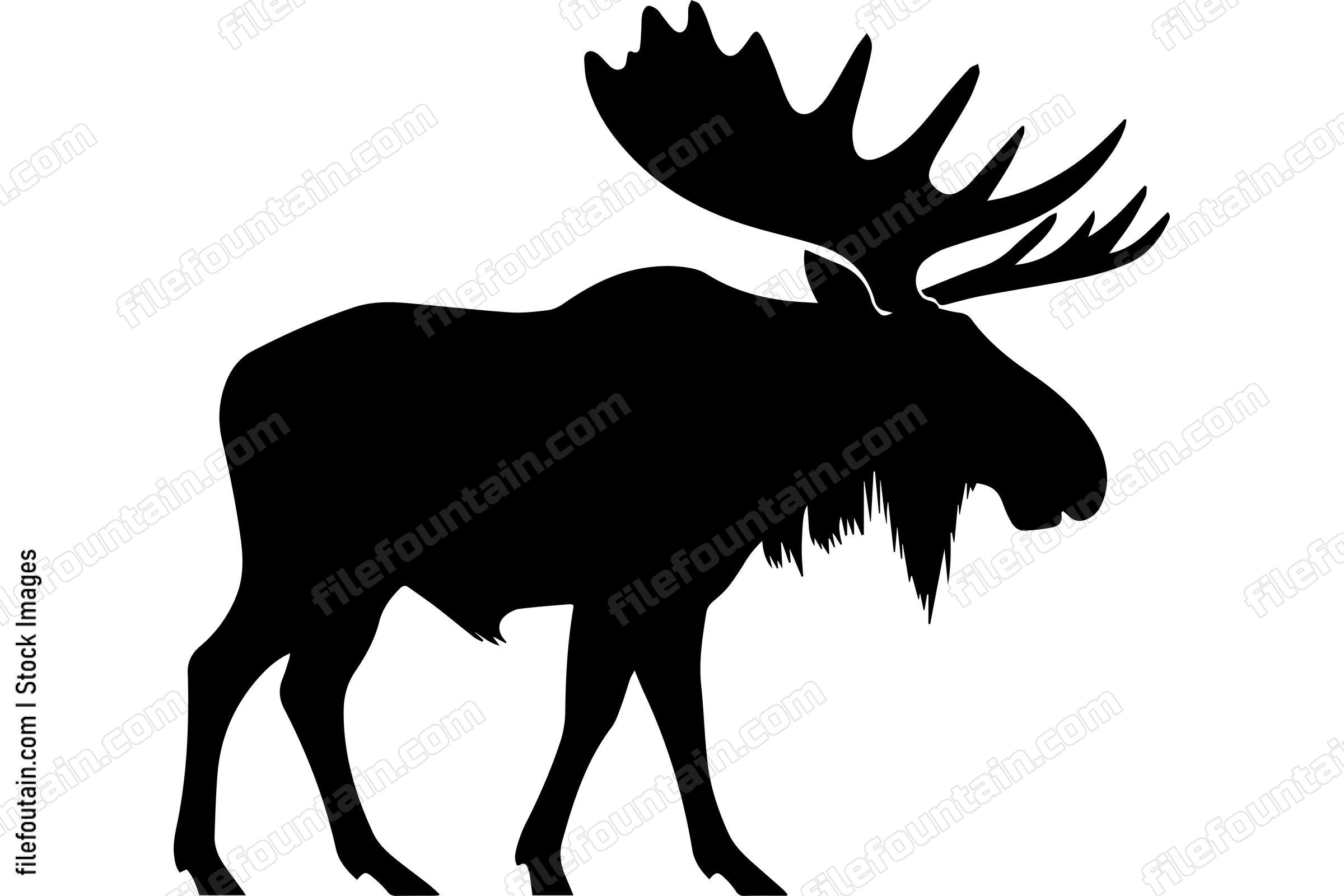 Moose