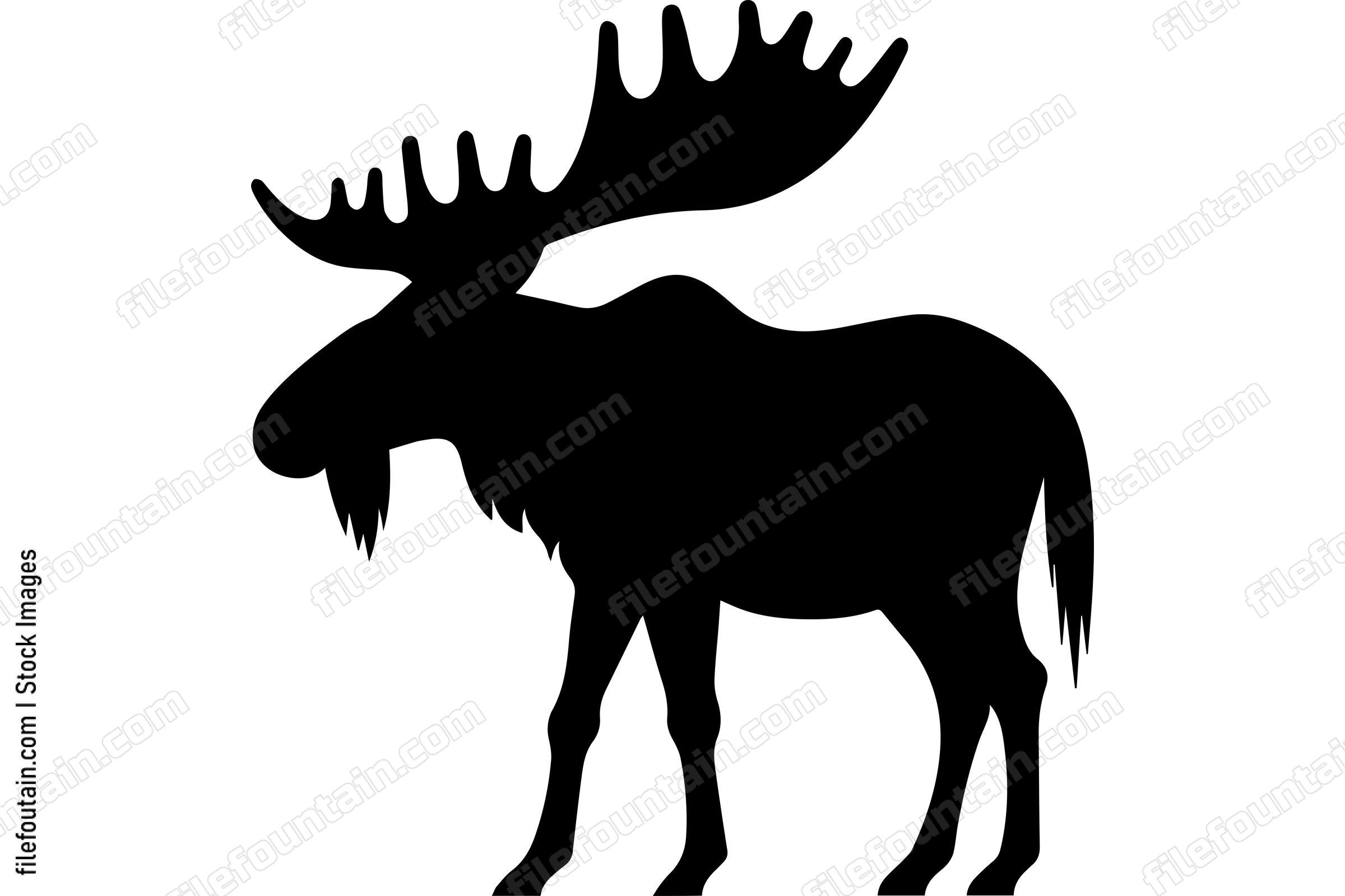 Moose