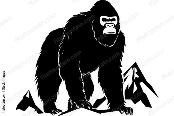 Mountain Gorilla