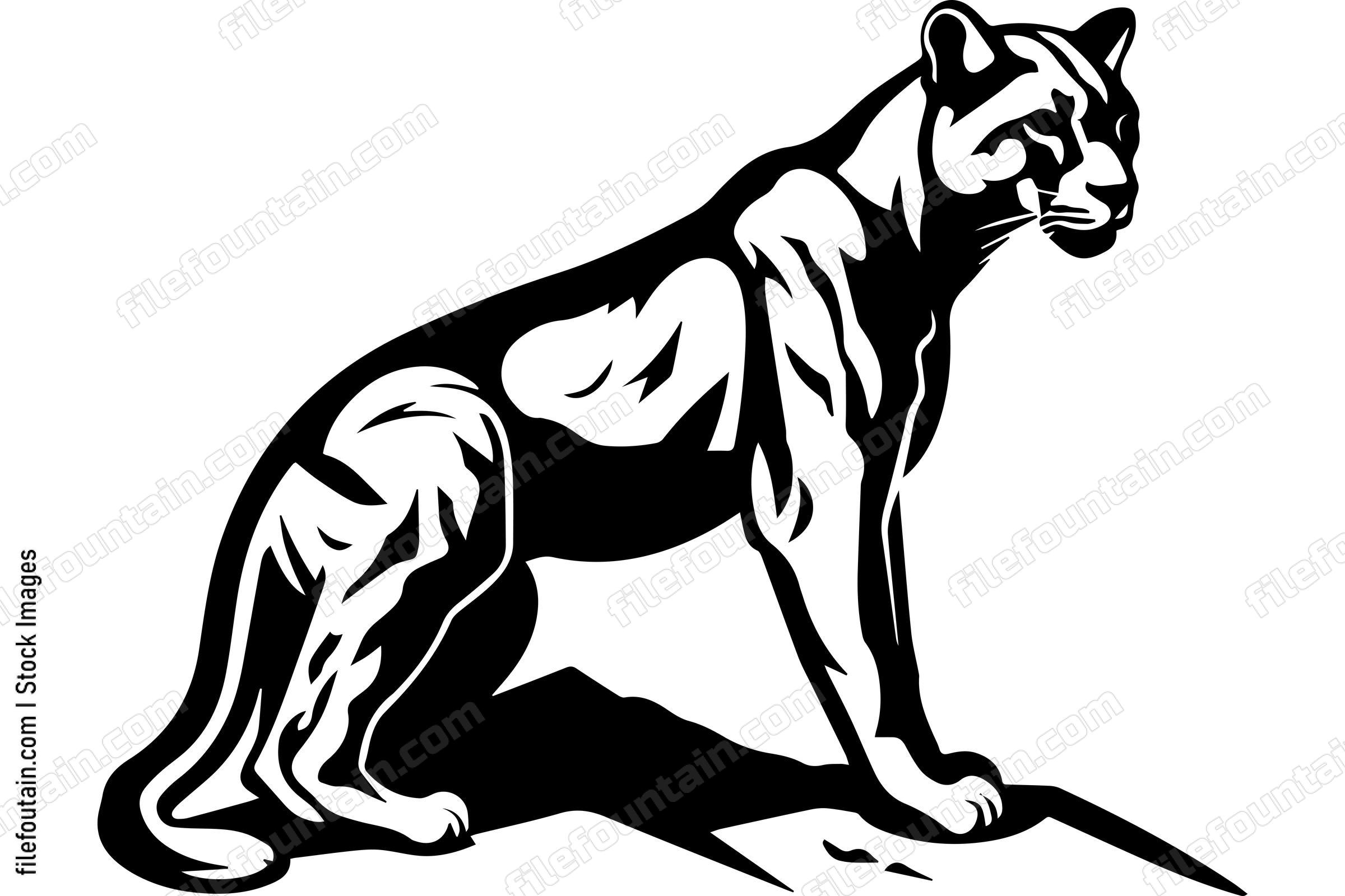 Mountain Lion