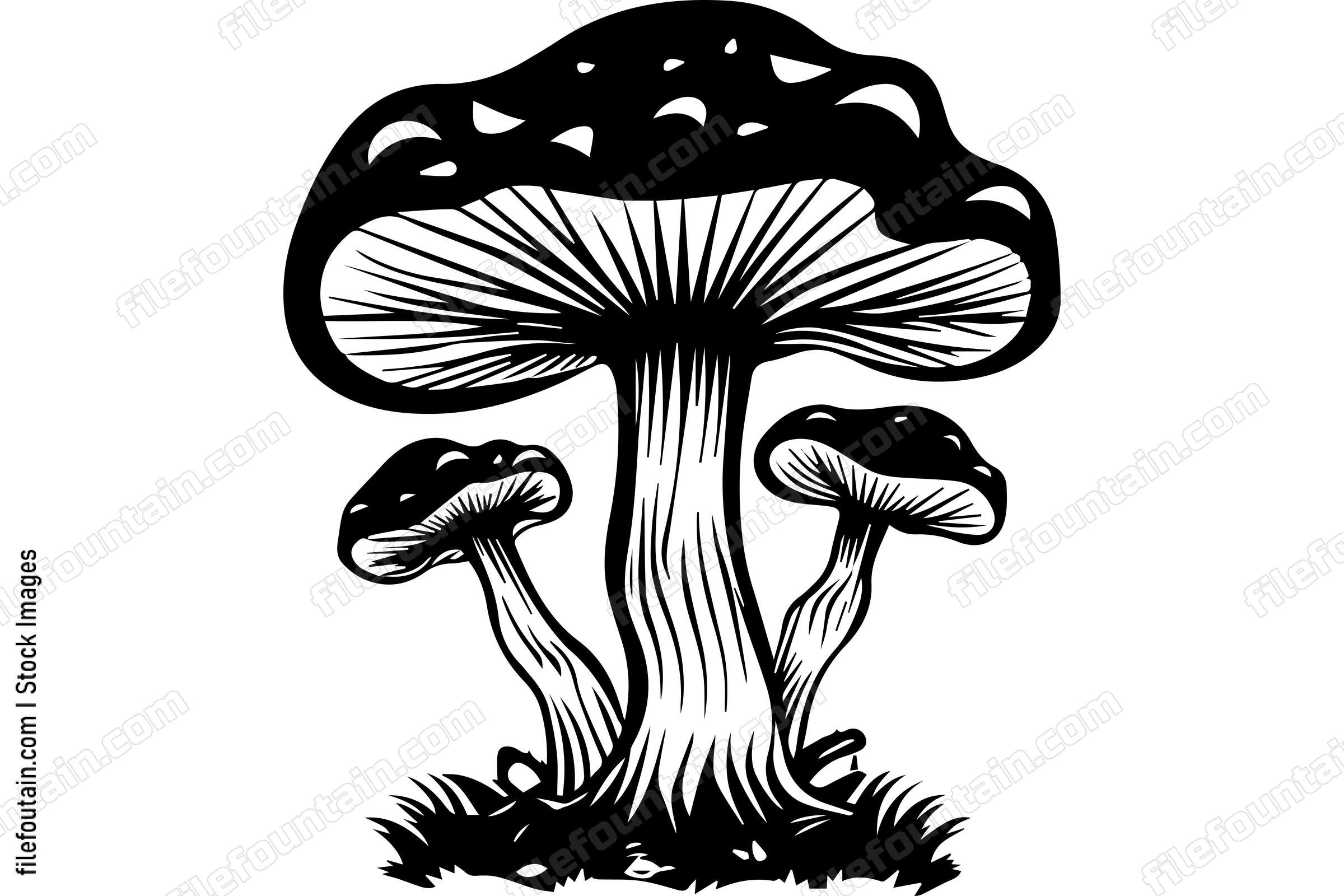 Mushrooms