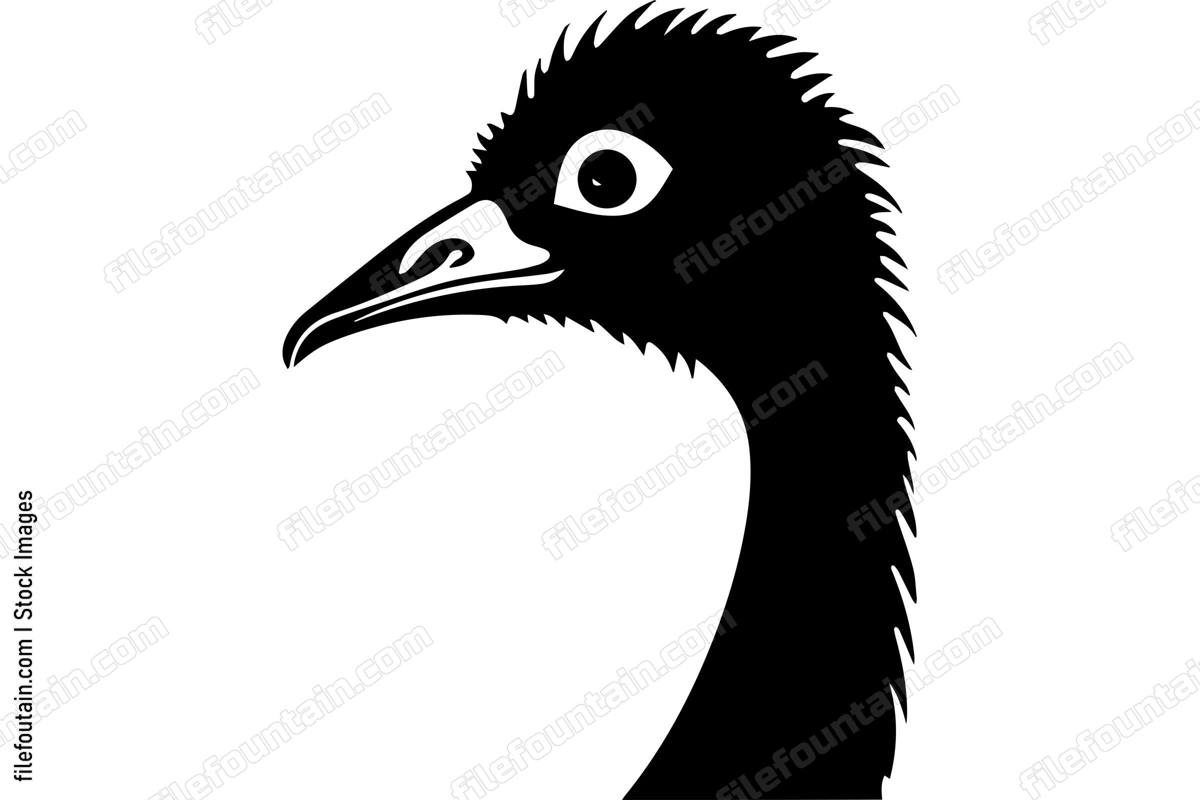 Ostrich
