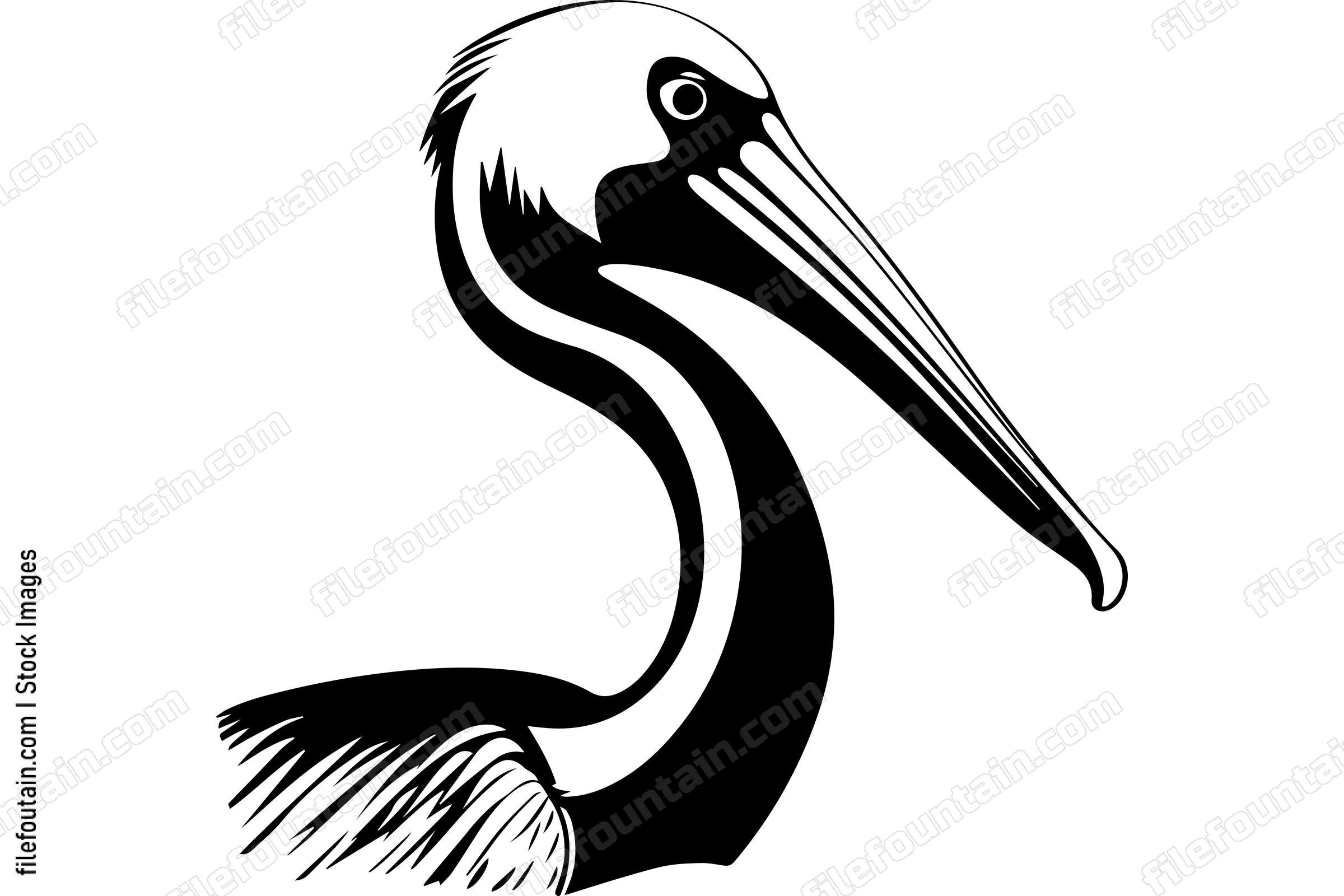 Pelican