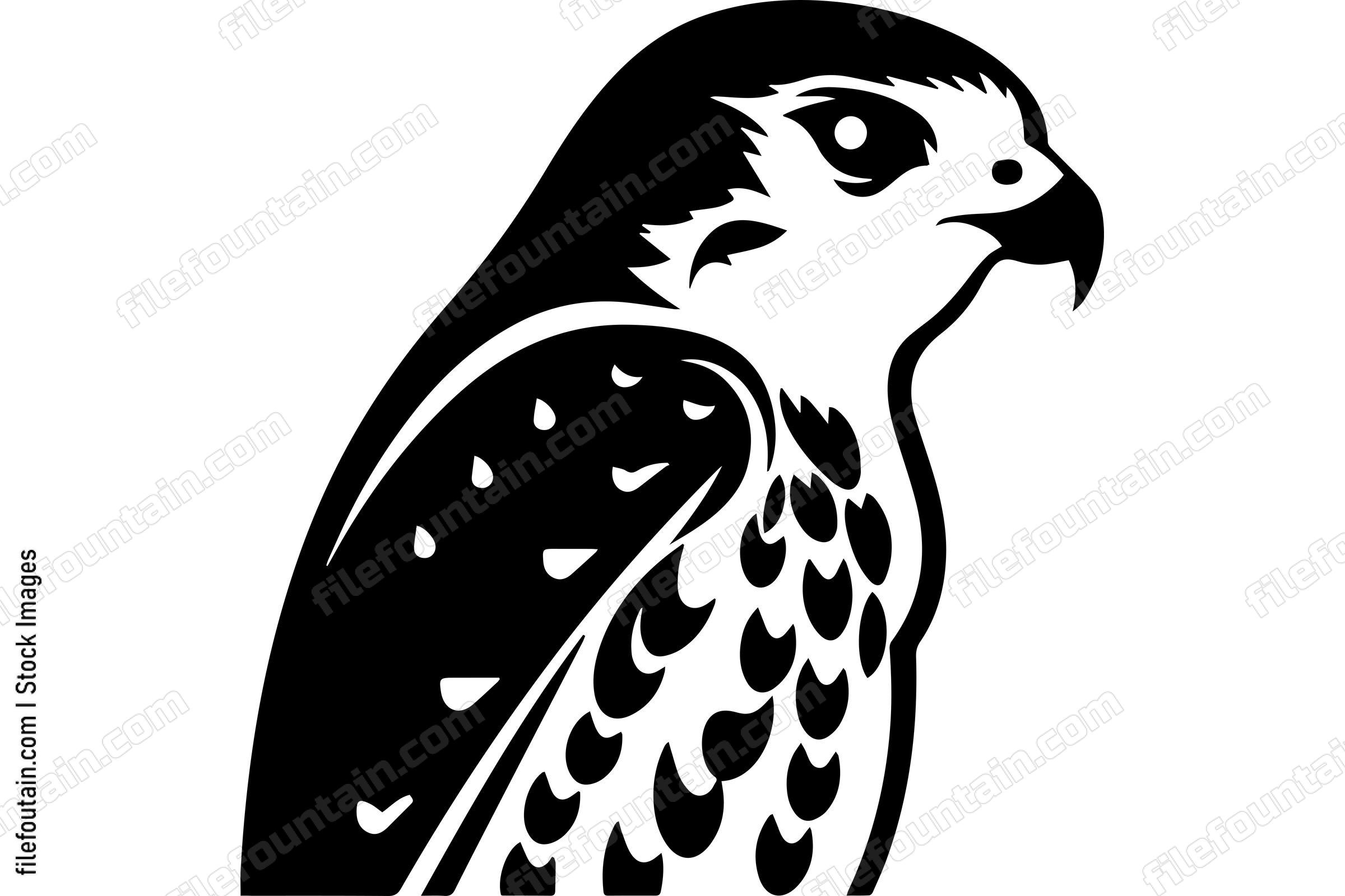 Peregrine Falcon