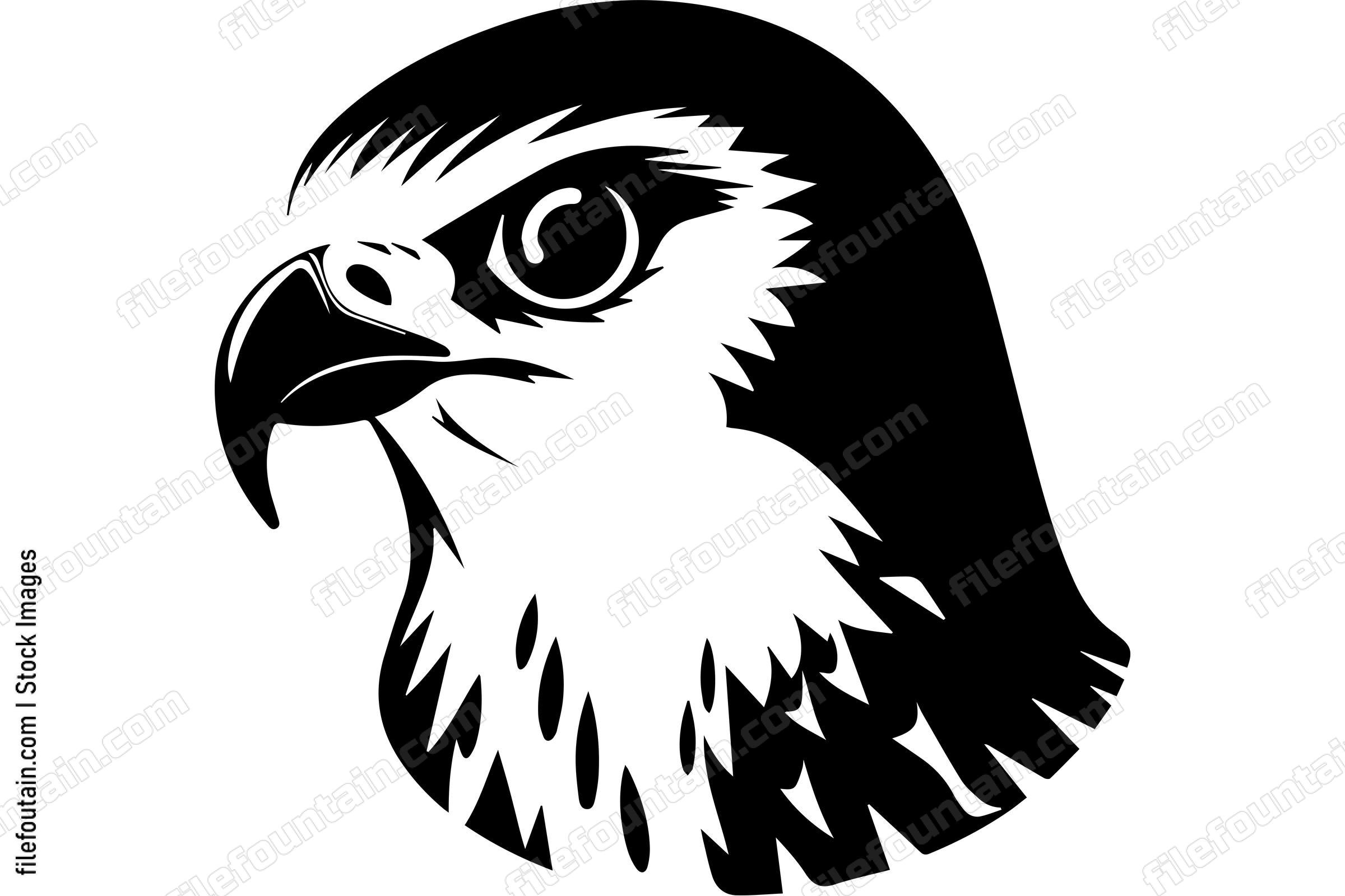 Peregrine Falcon