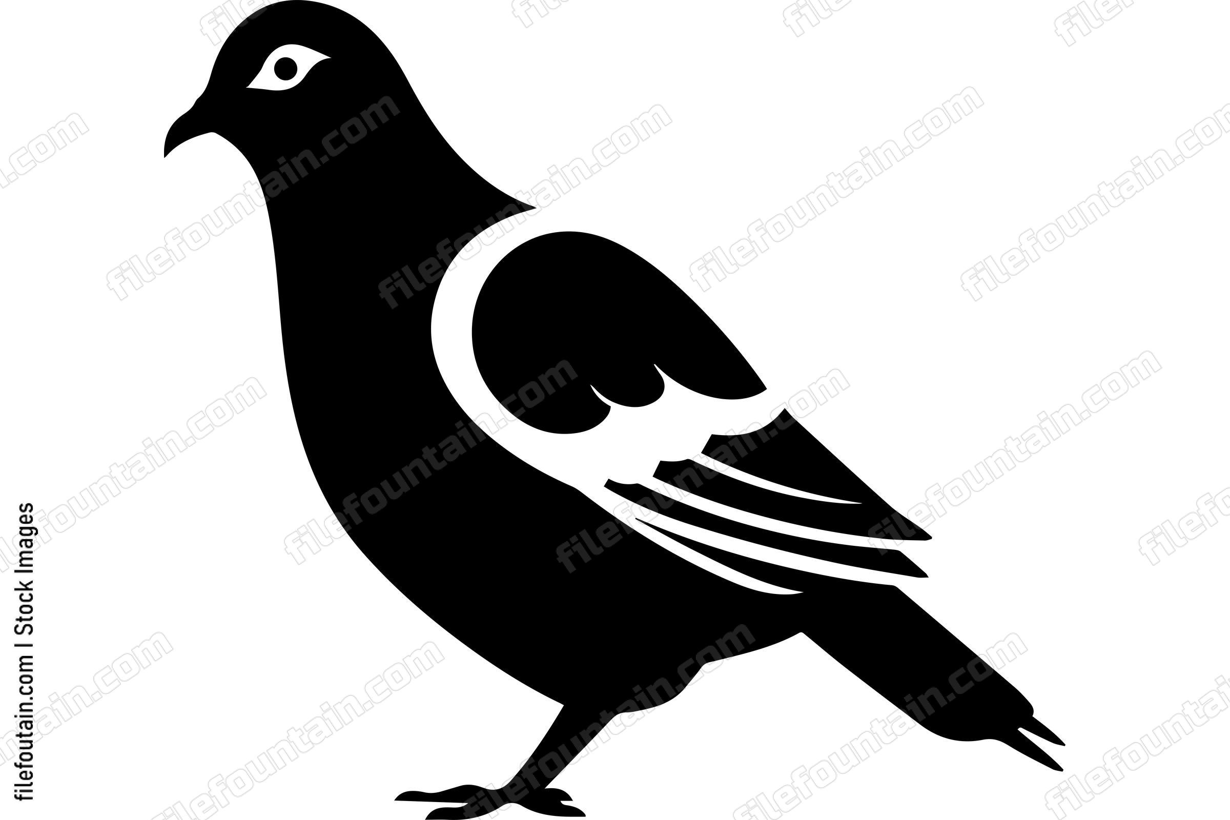 Pigeon