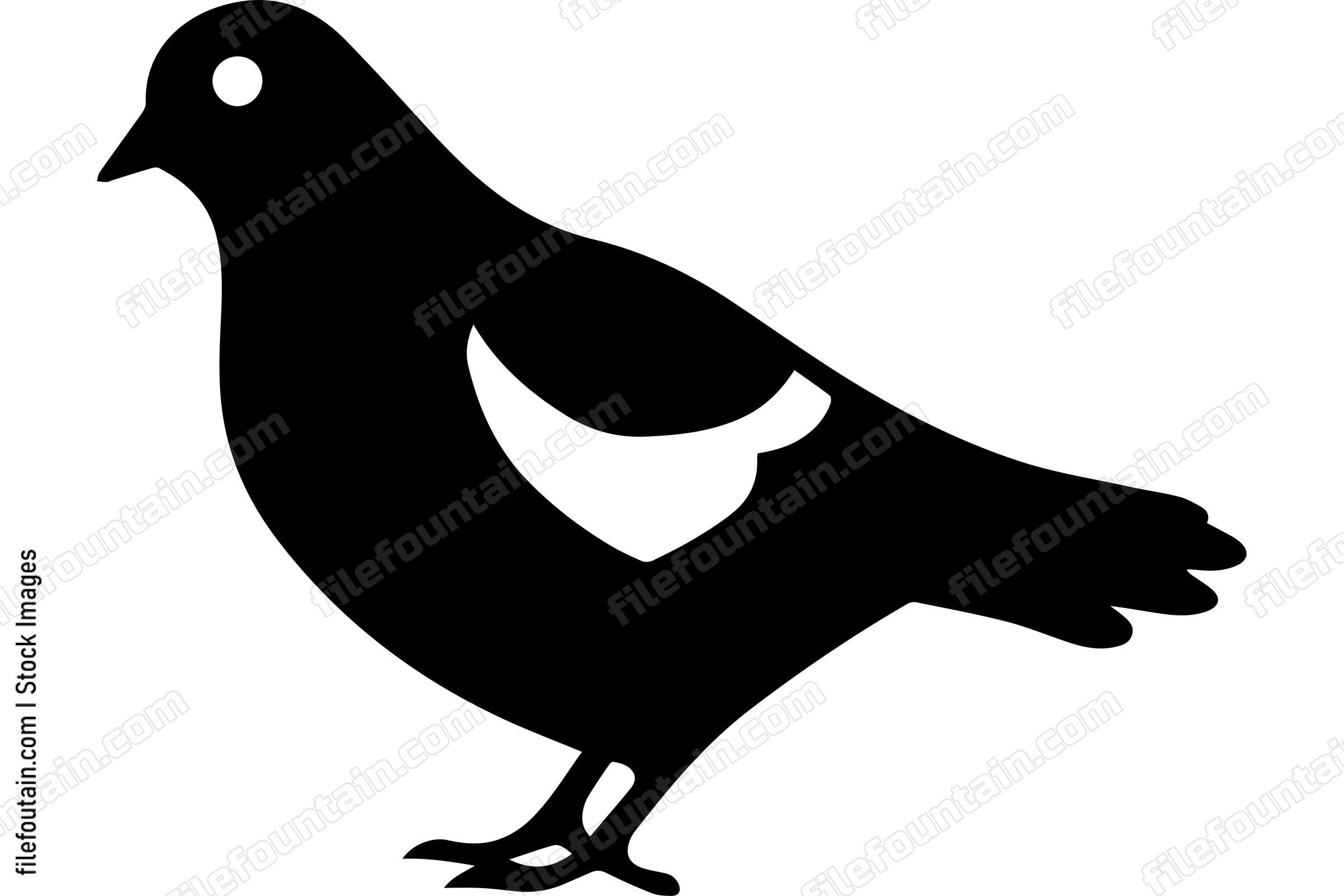 Pigeon