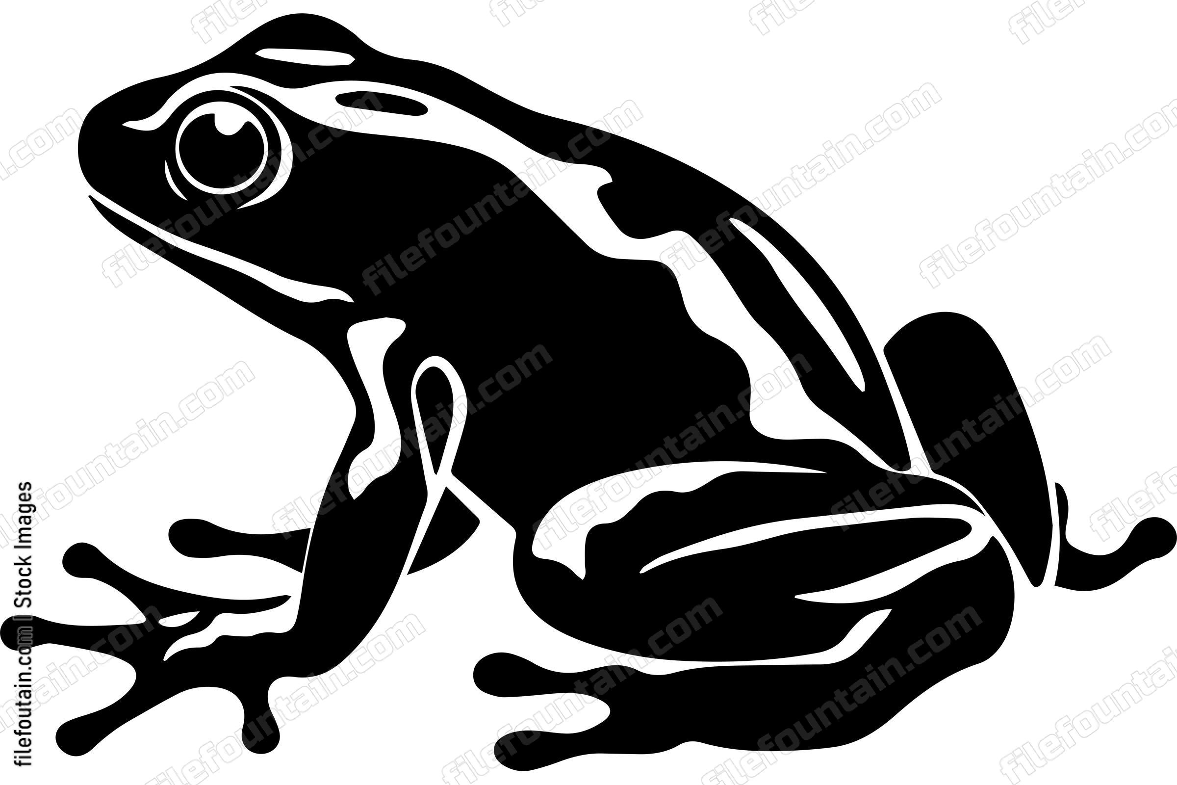 Poison Dart Frog