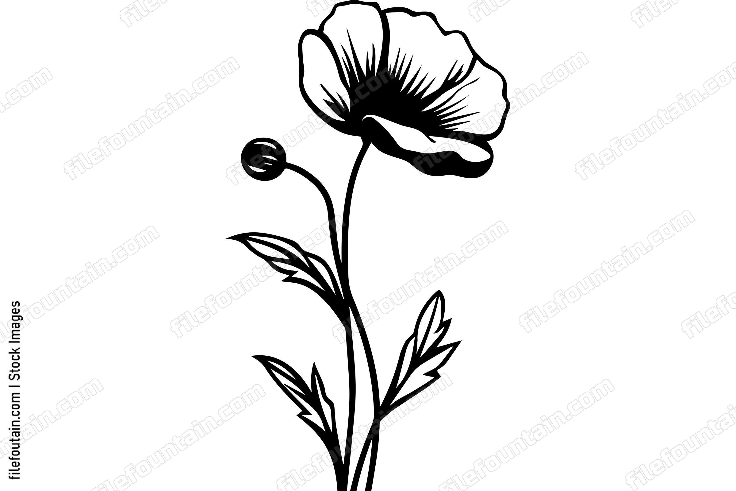 Poppy Flower