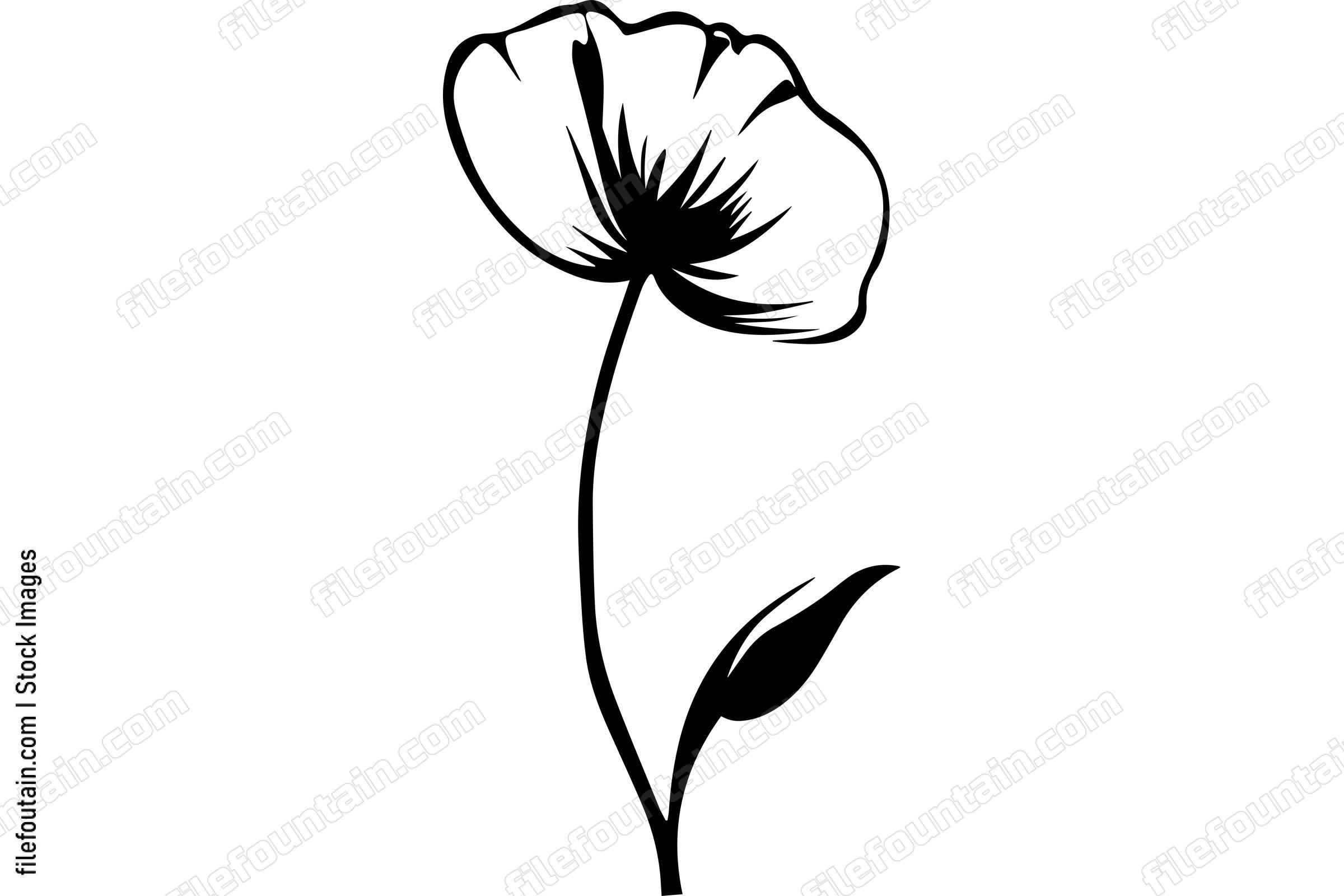 Poppy Flower