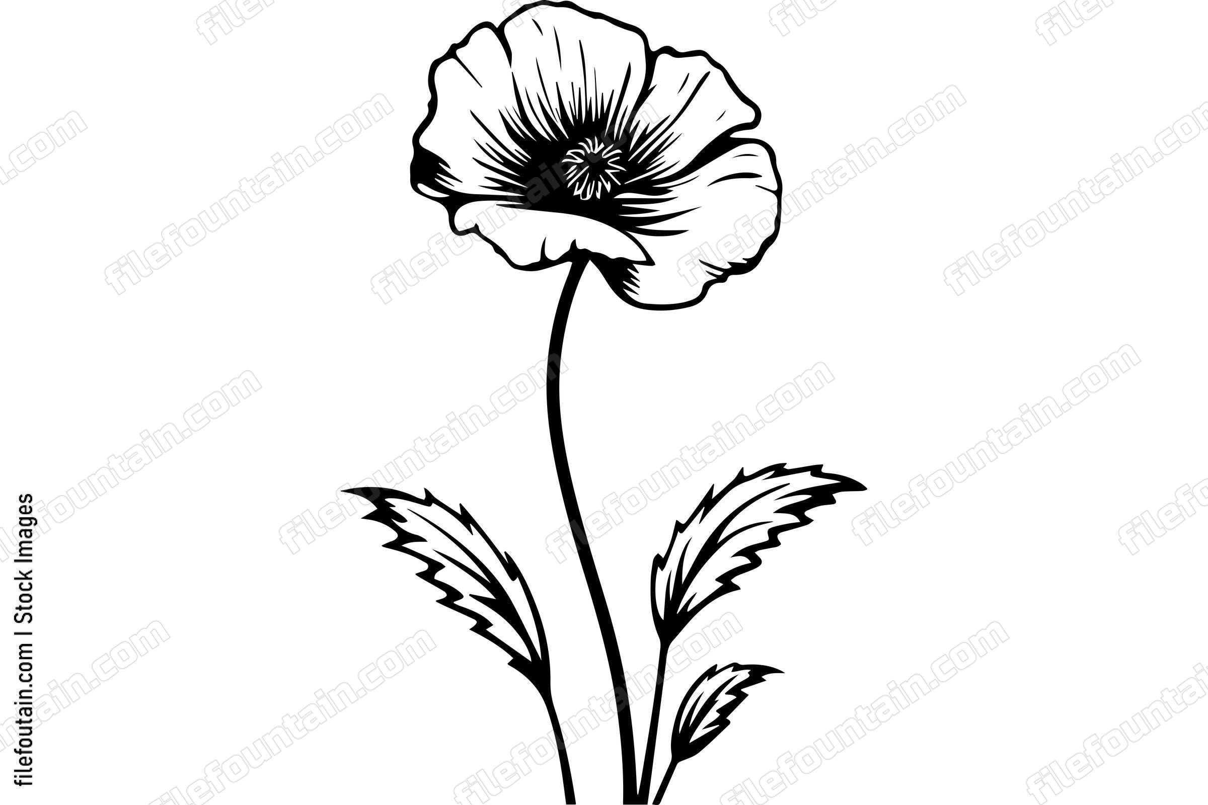 Poppy Flower