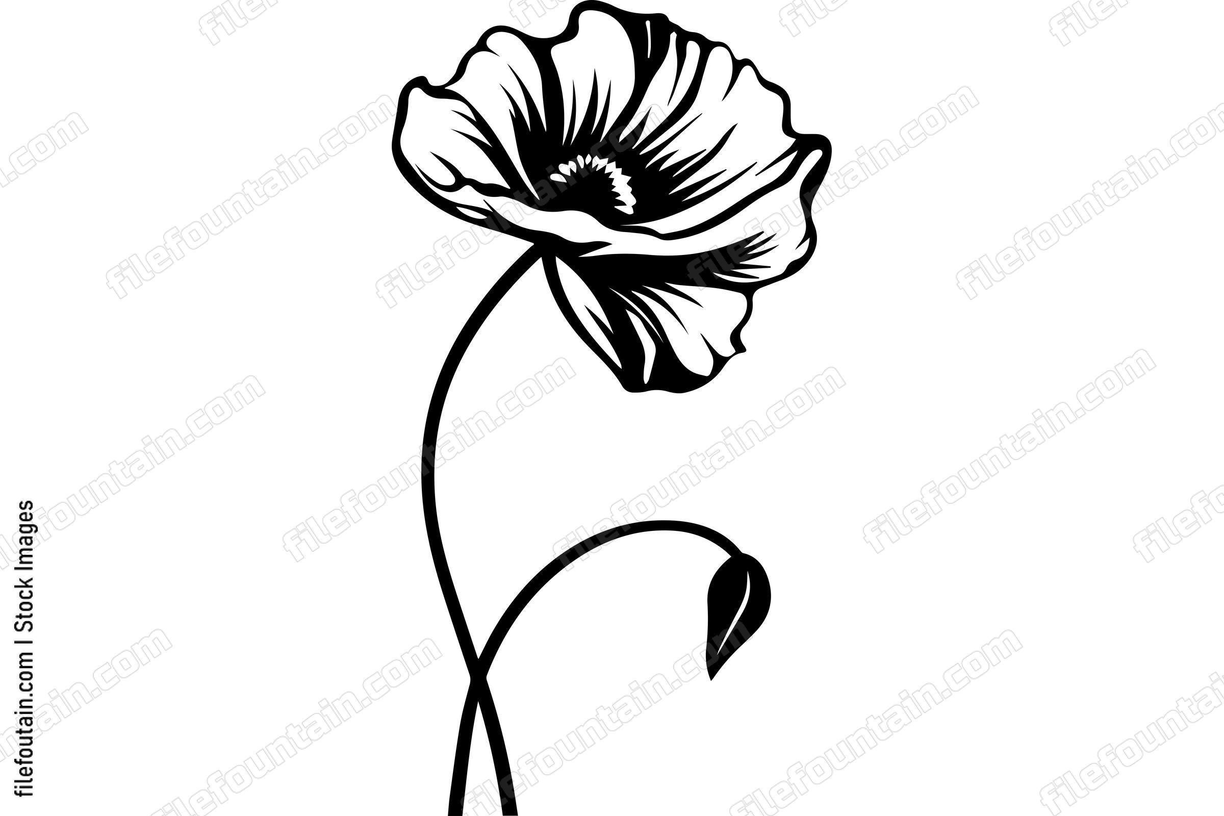 Poppy Flower