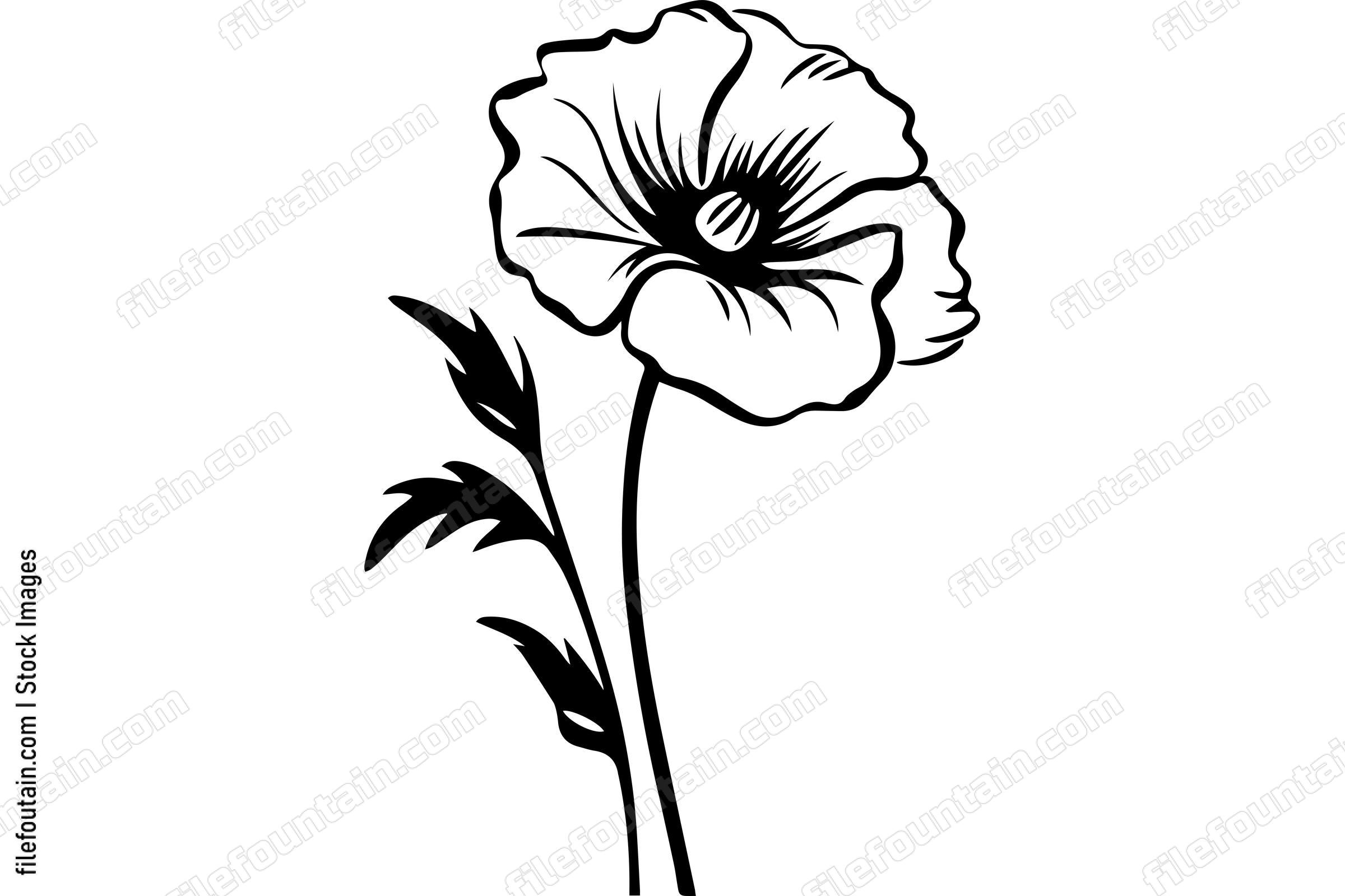 Poppy Flower