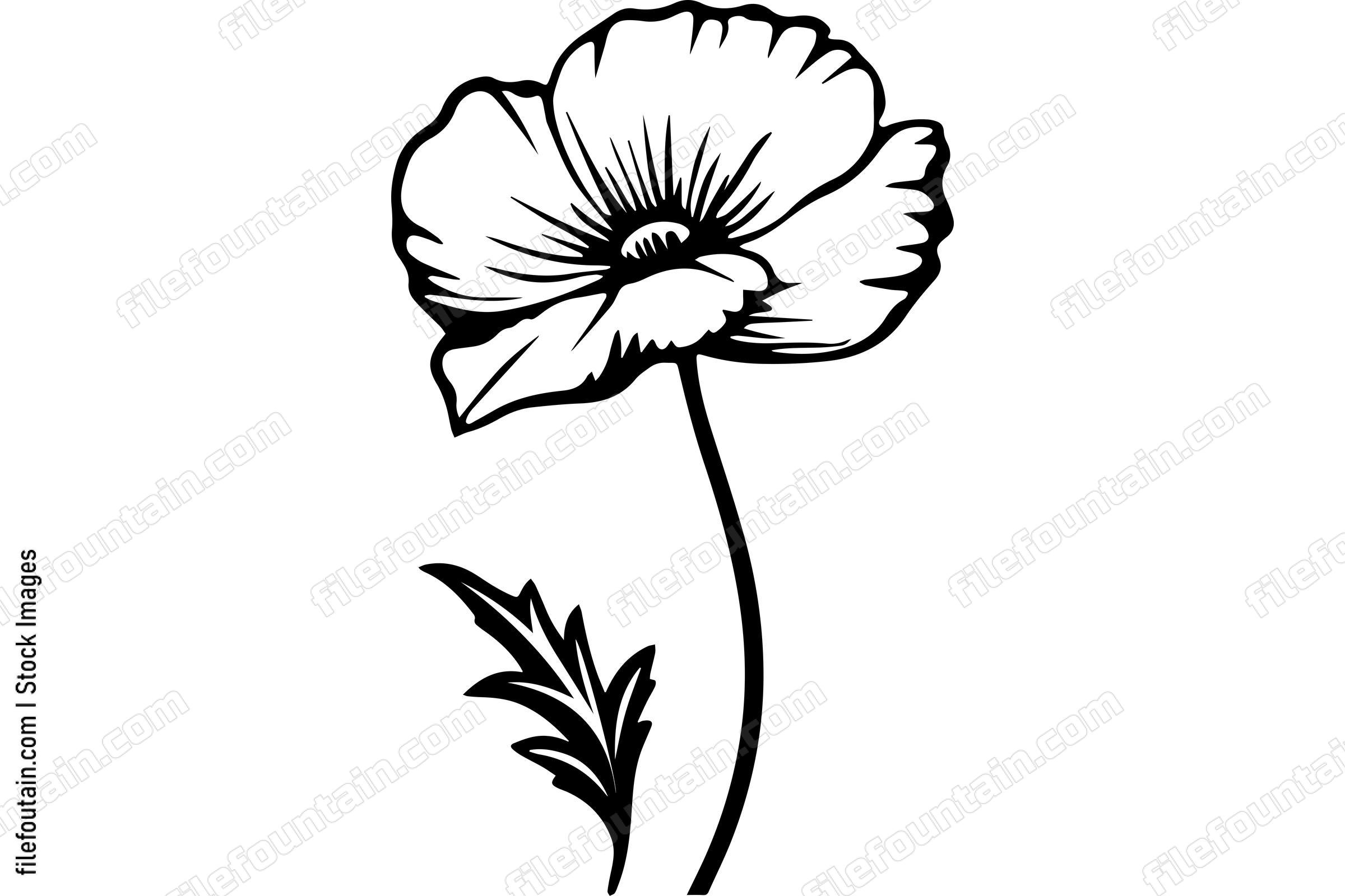 Poppy Flower