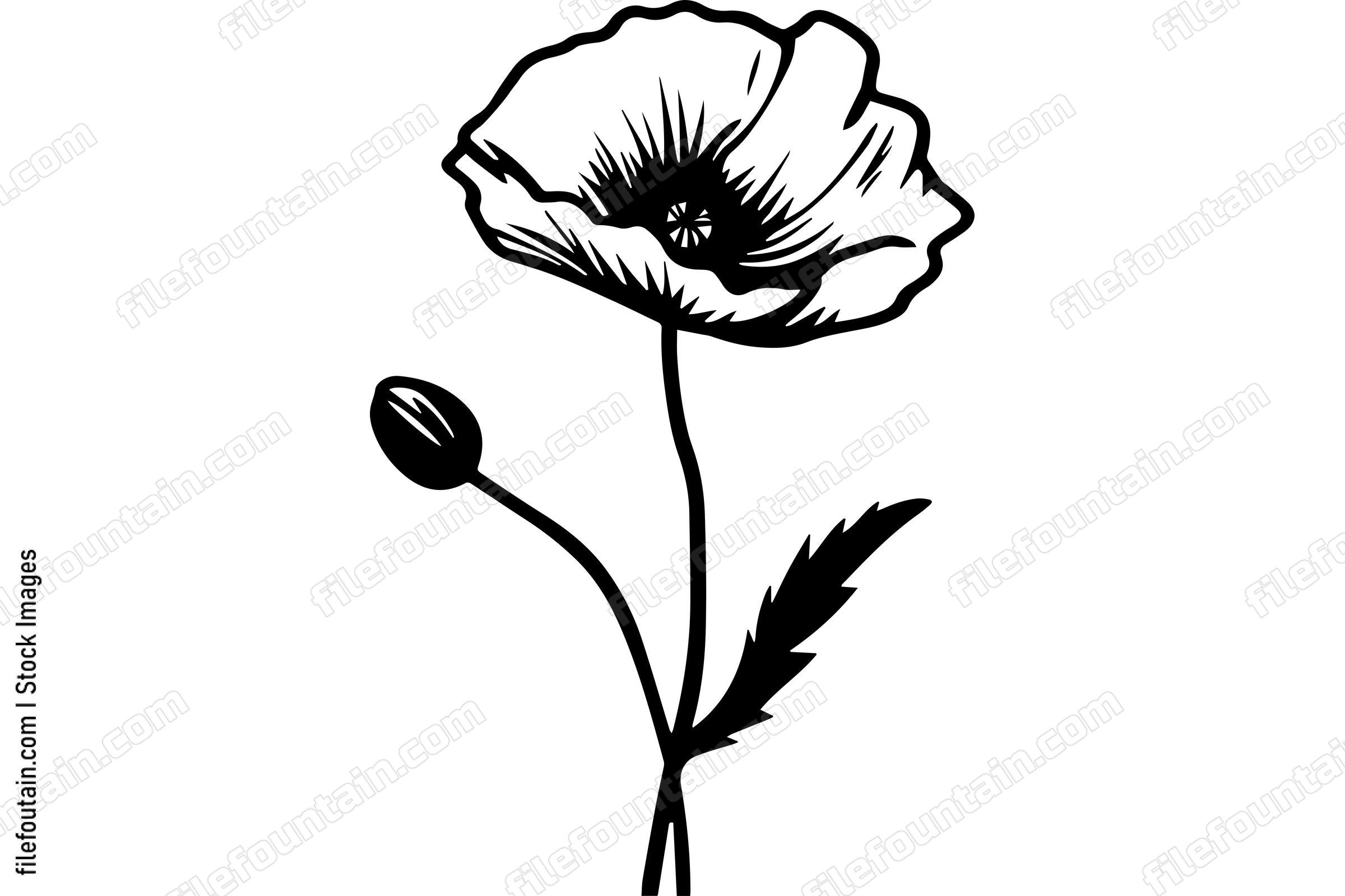 Poppy Flower