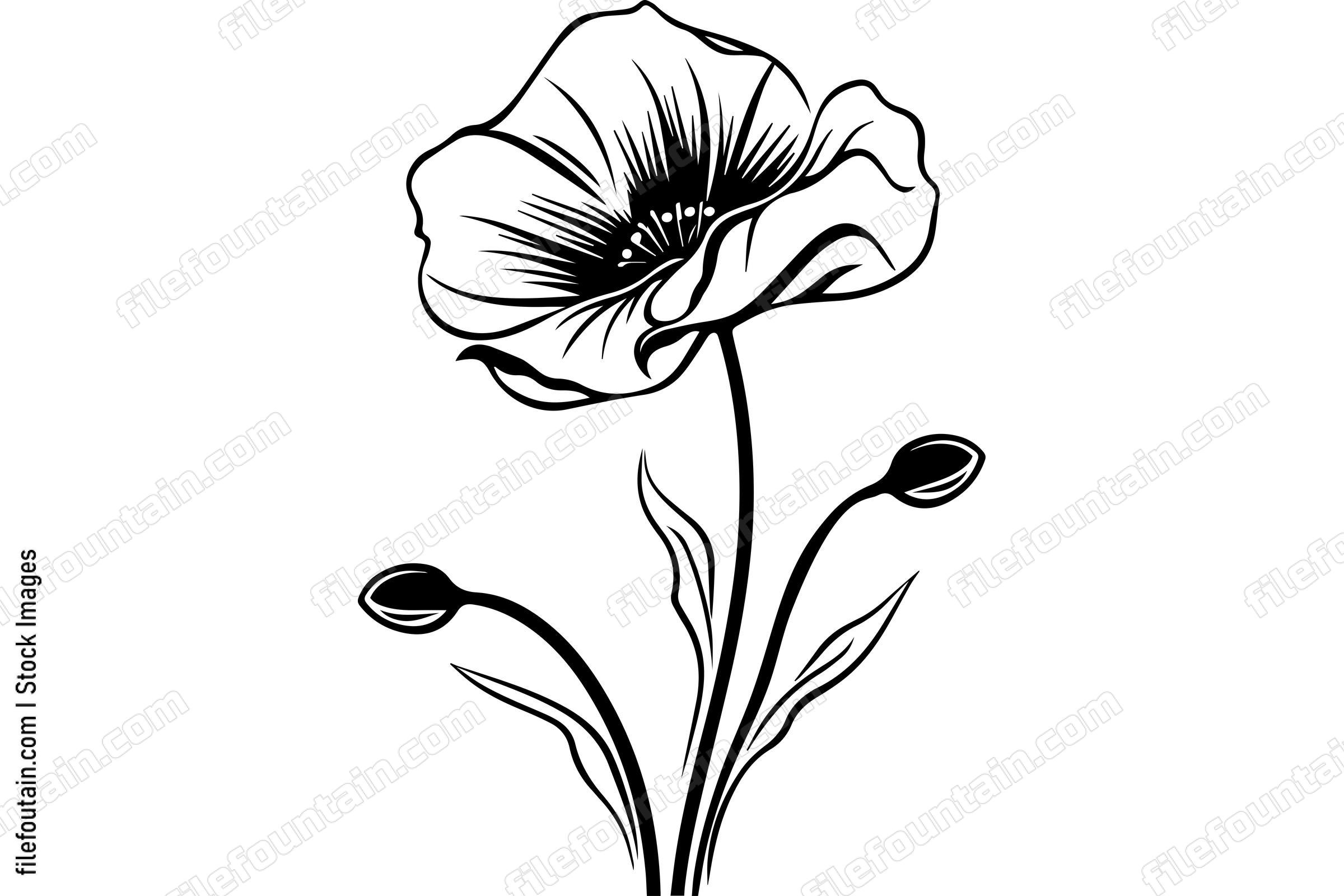 Poppy Flower