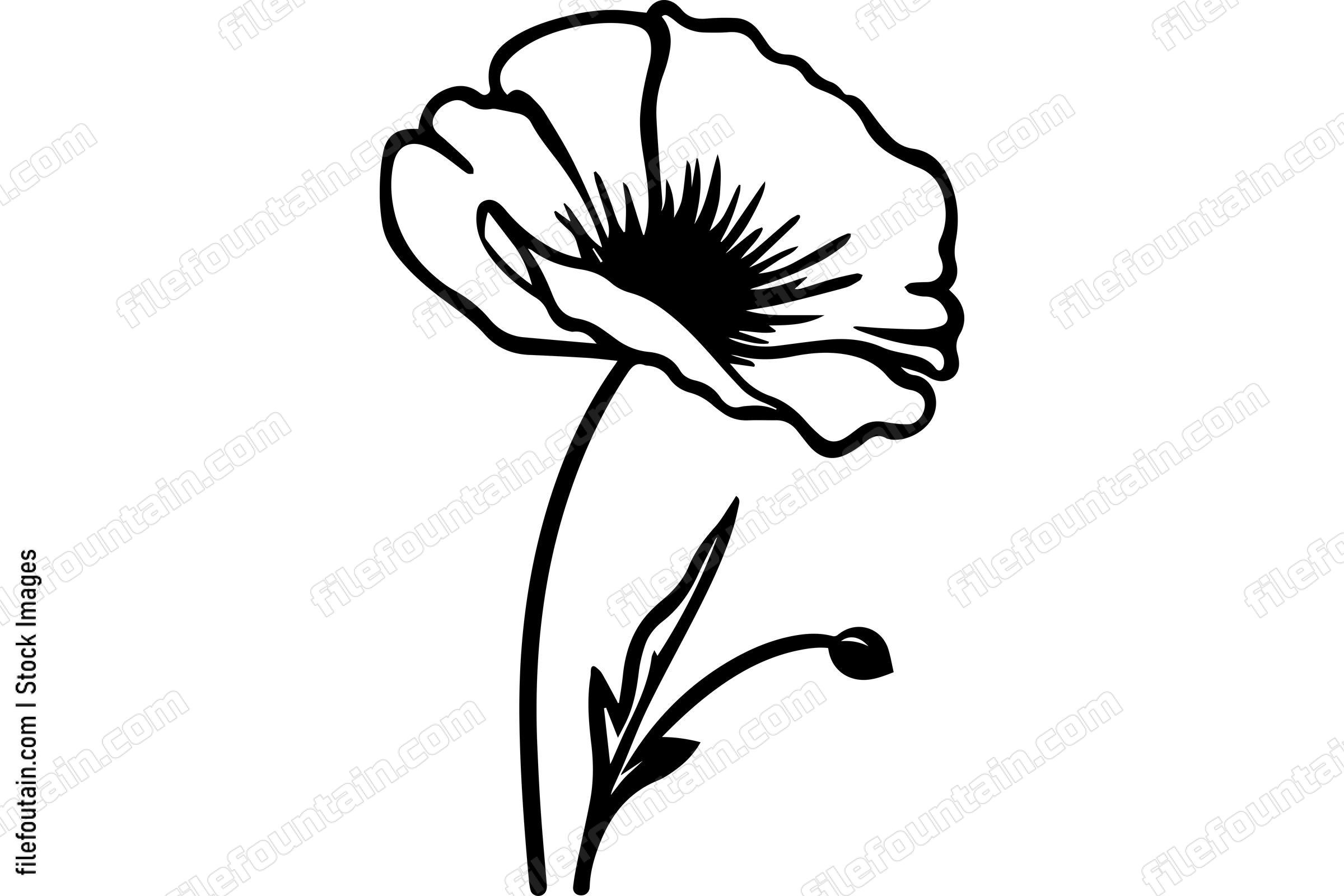 Poppy Flower