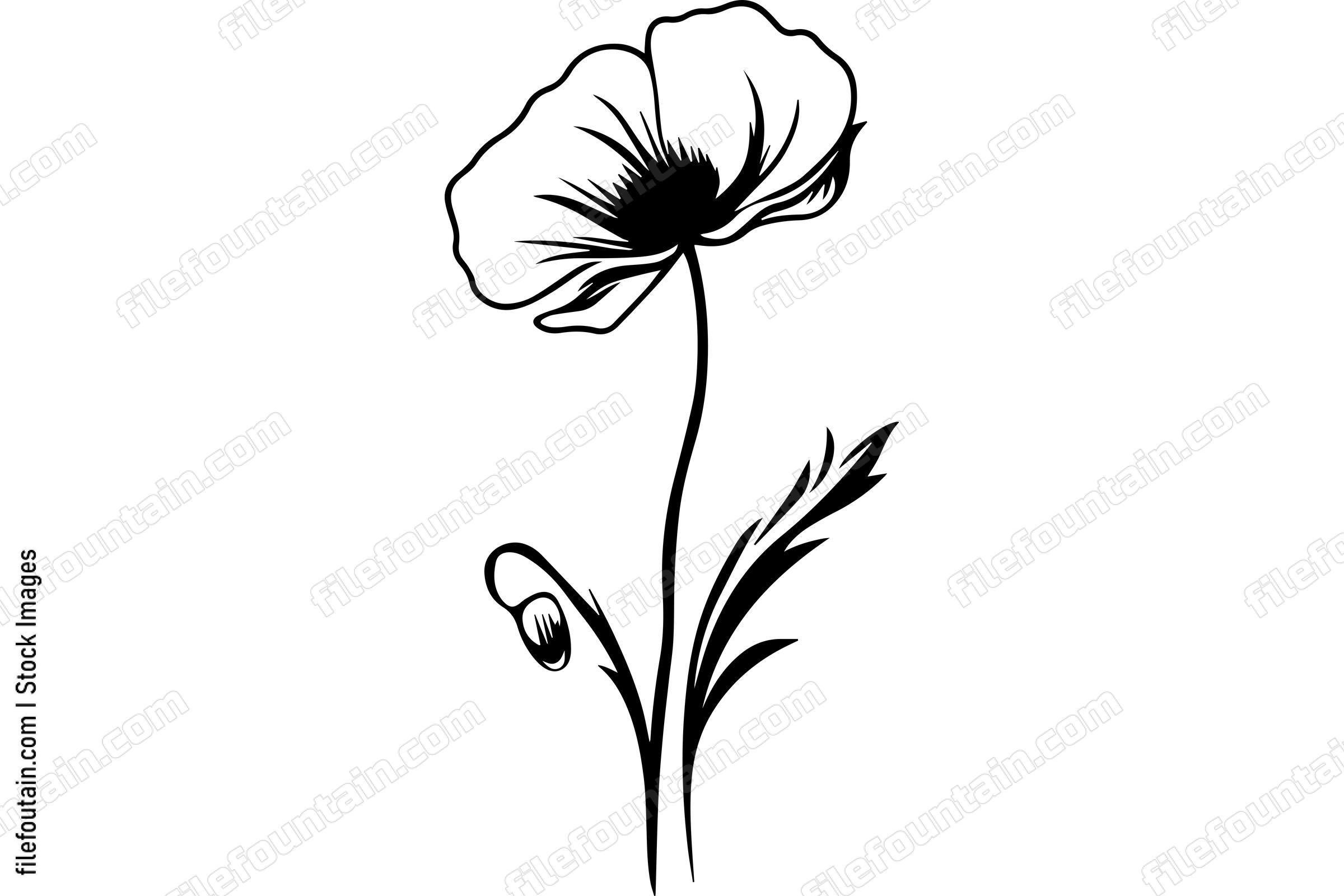 Poppy Flower