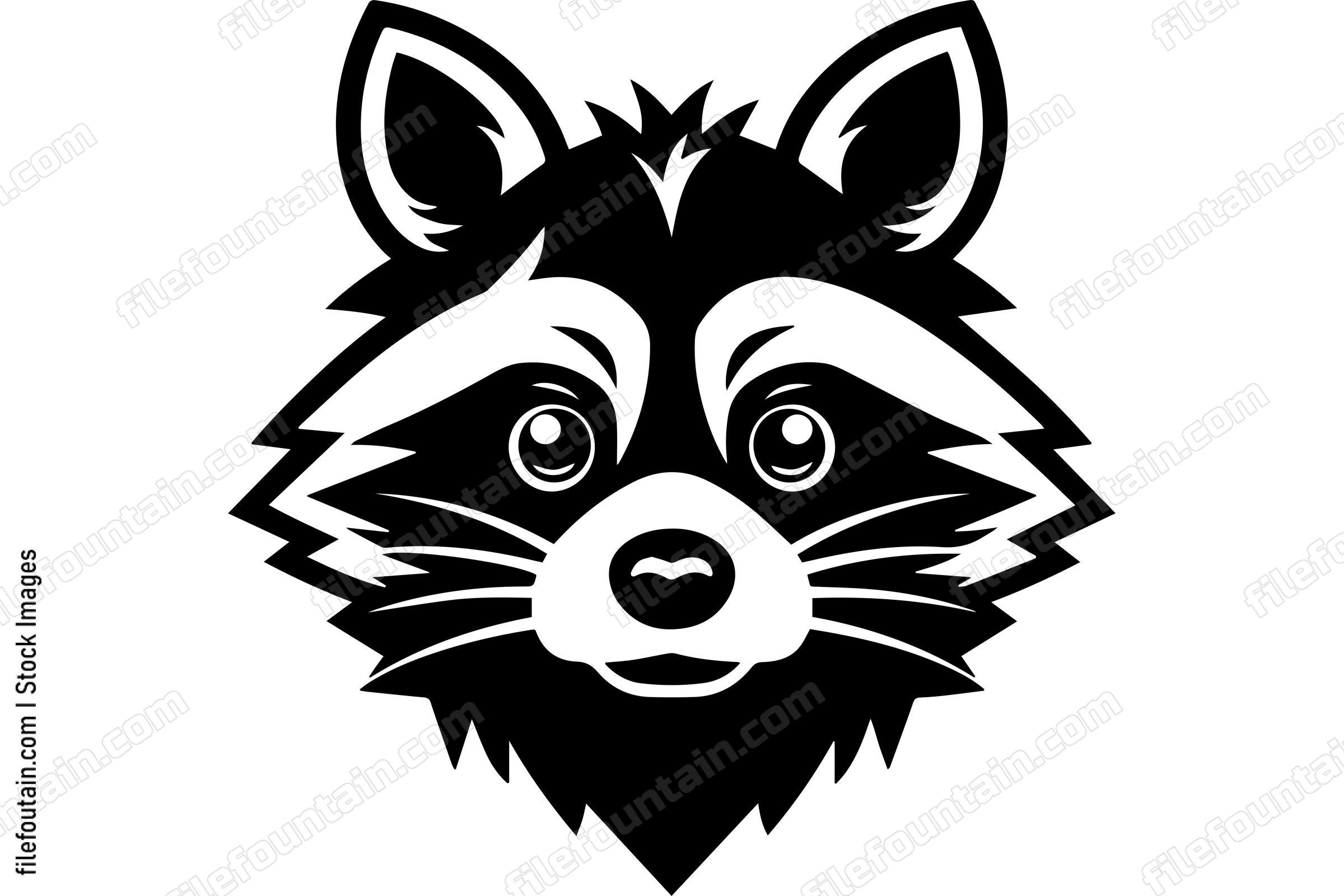 Raccoon