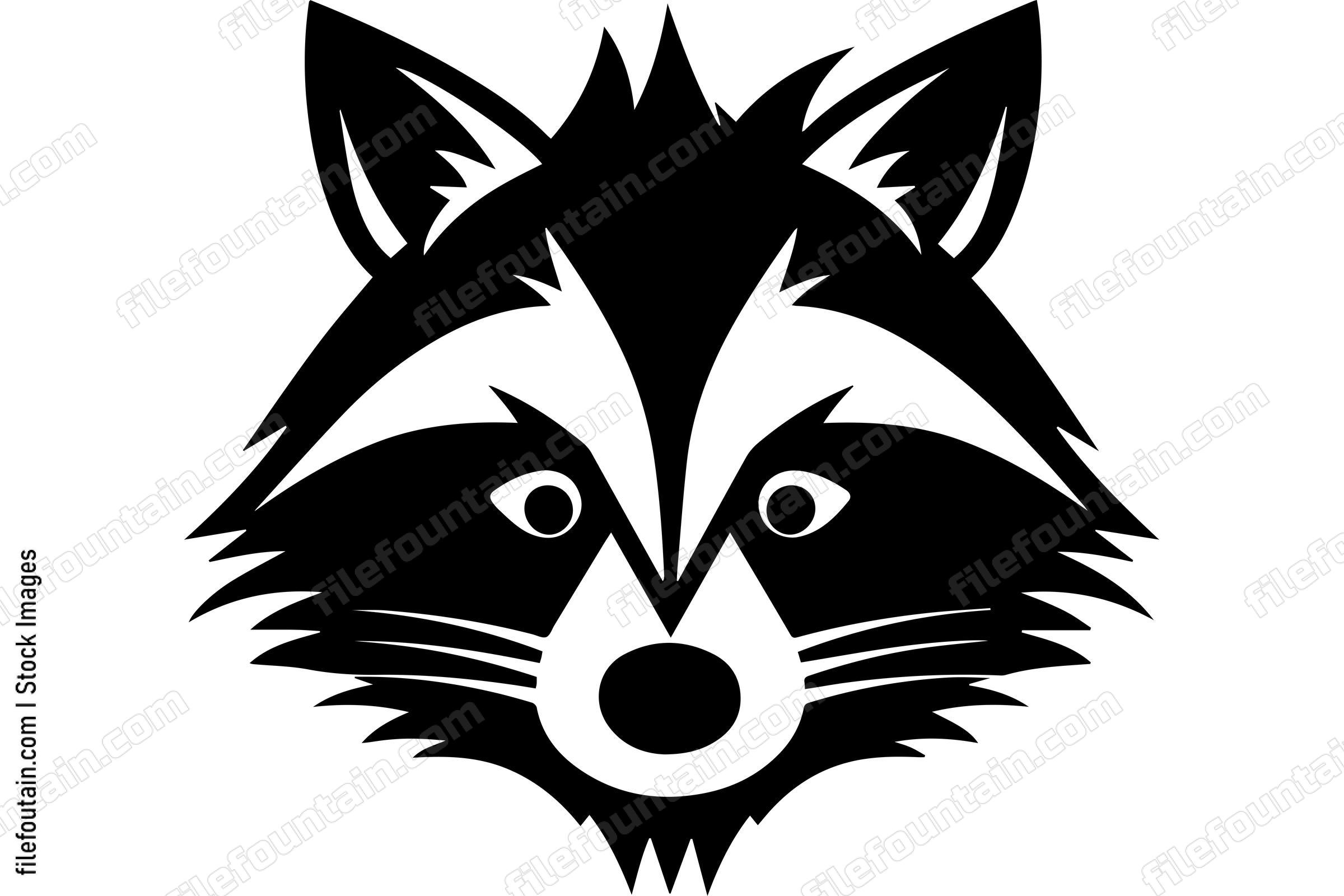 Raccoon
