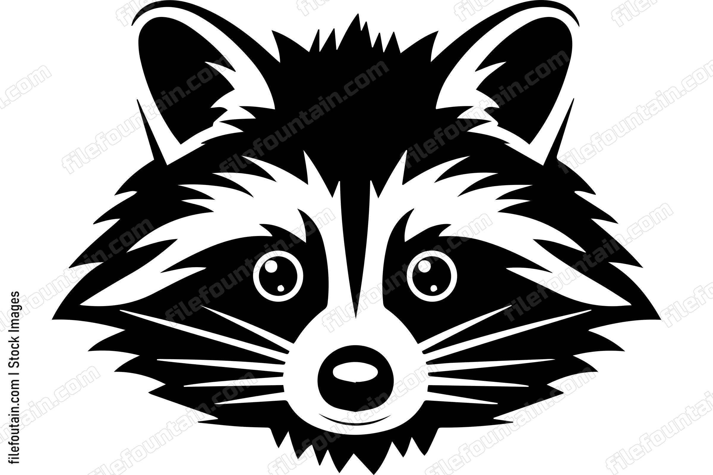 Raccoon