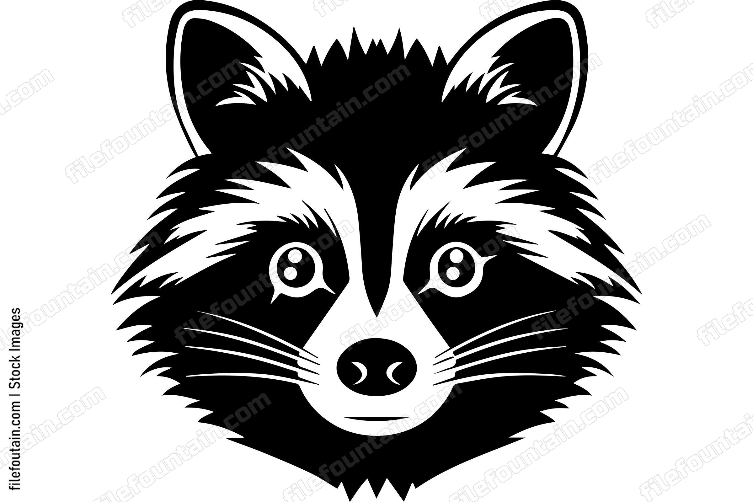 Raccoon