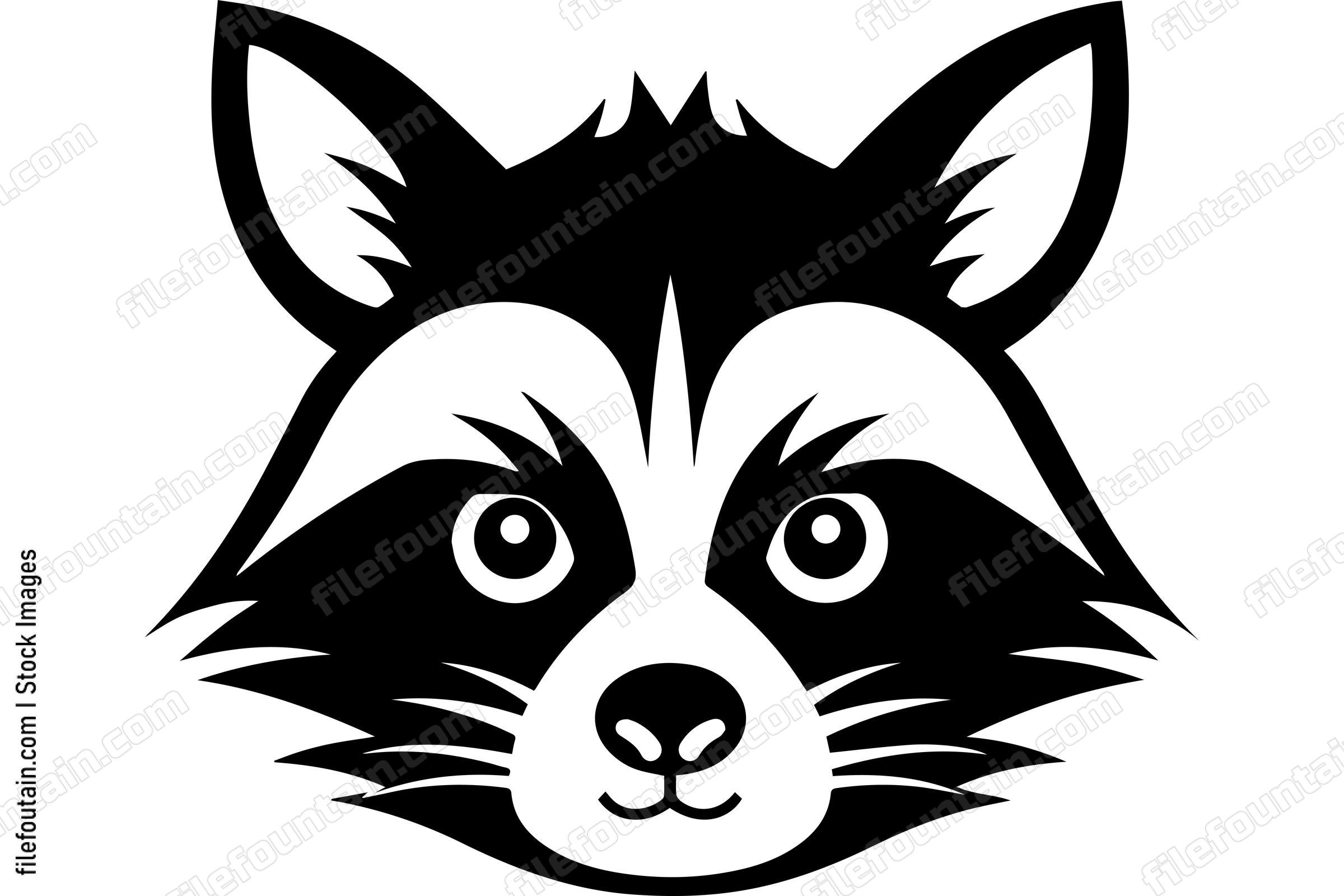 Raccoon
