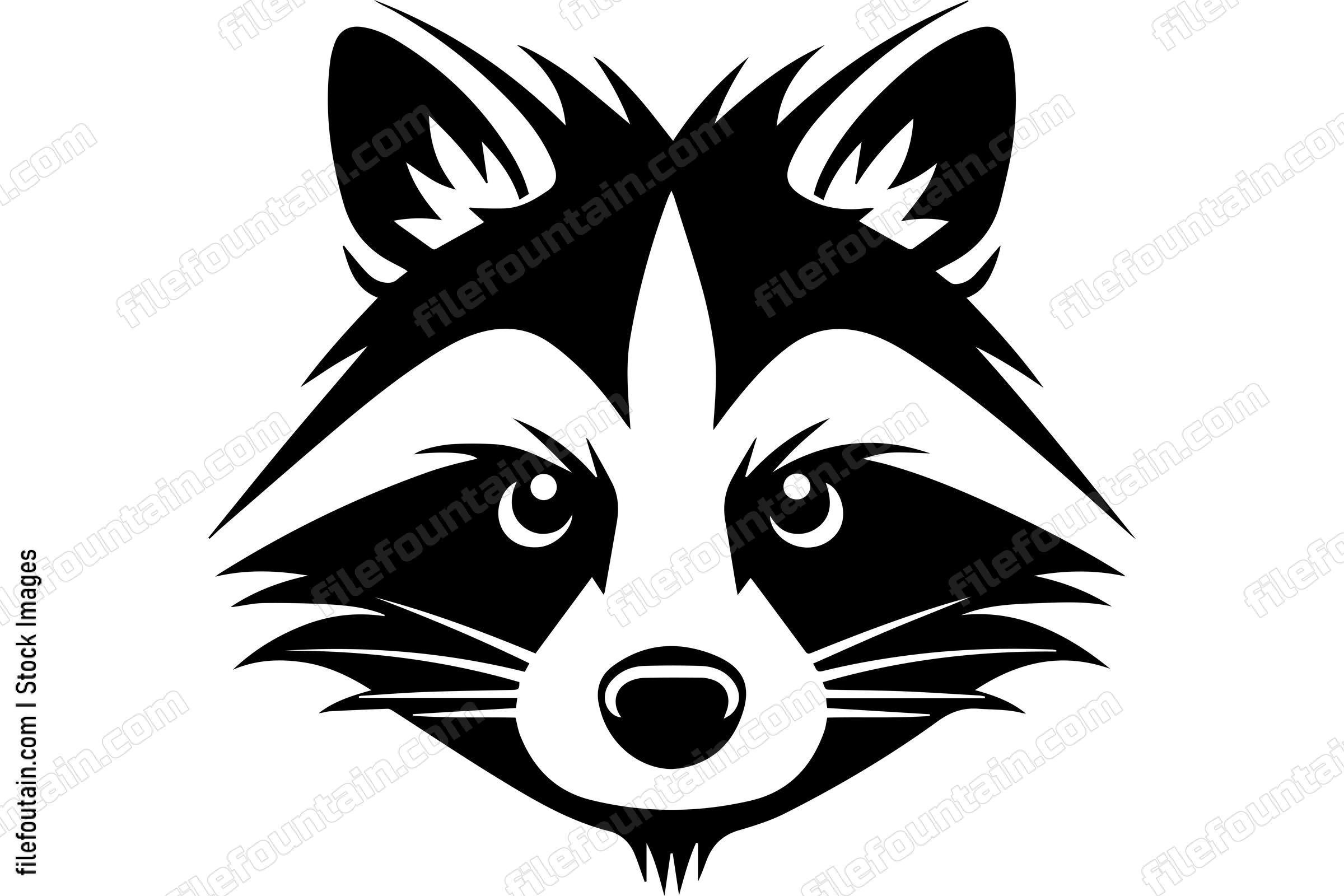Raccoon