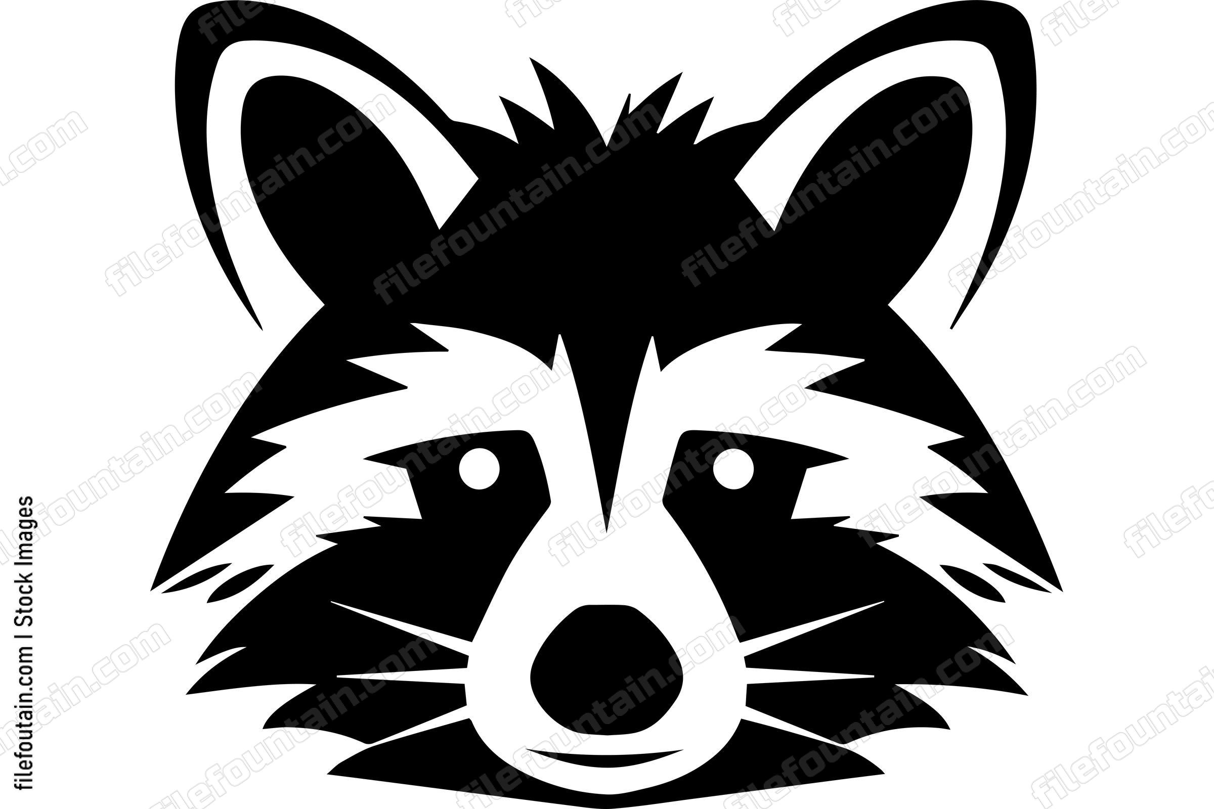 Raccoon
