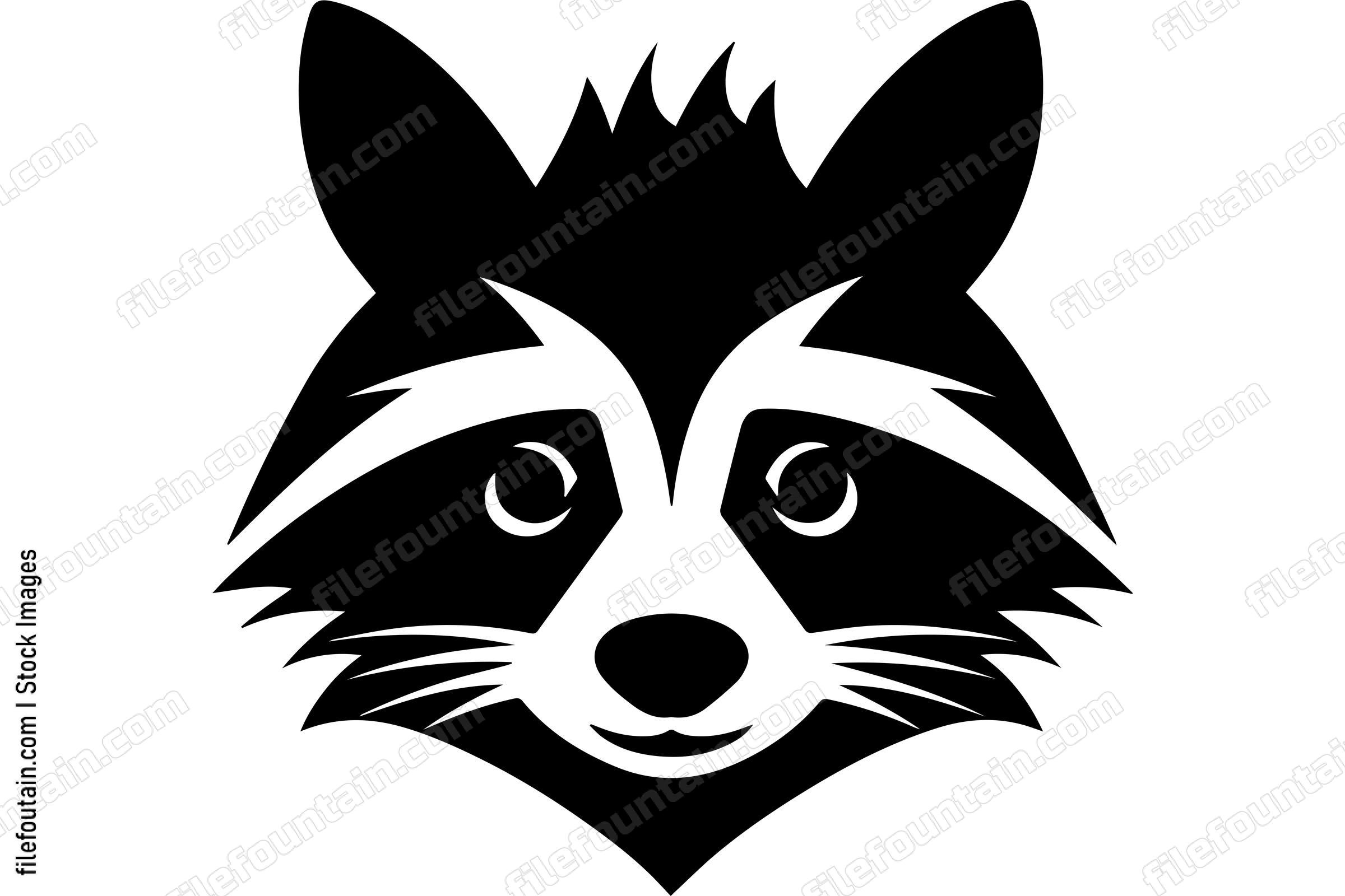 Raccoon