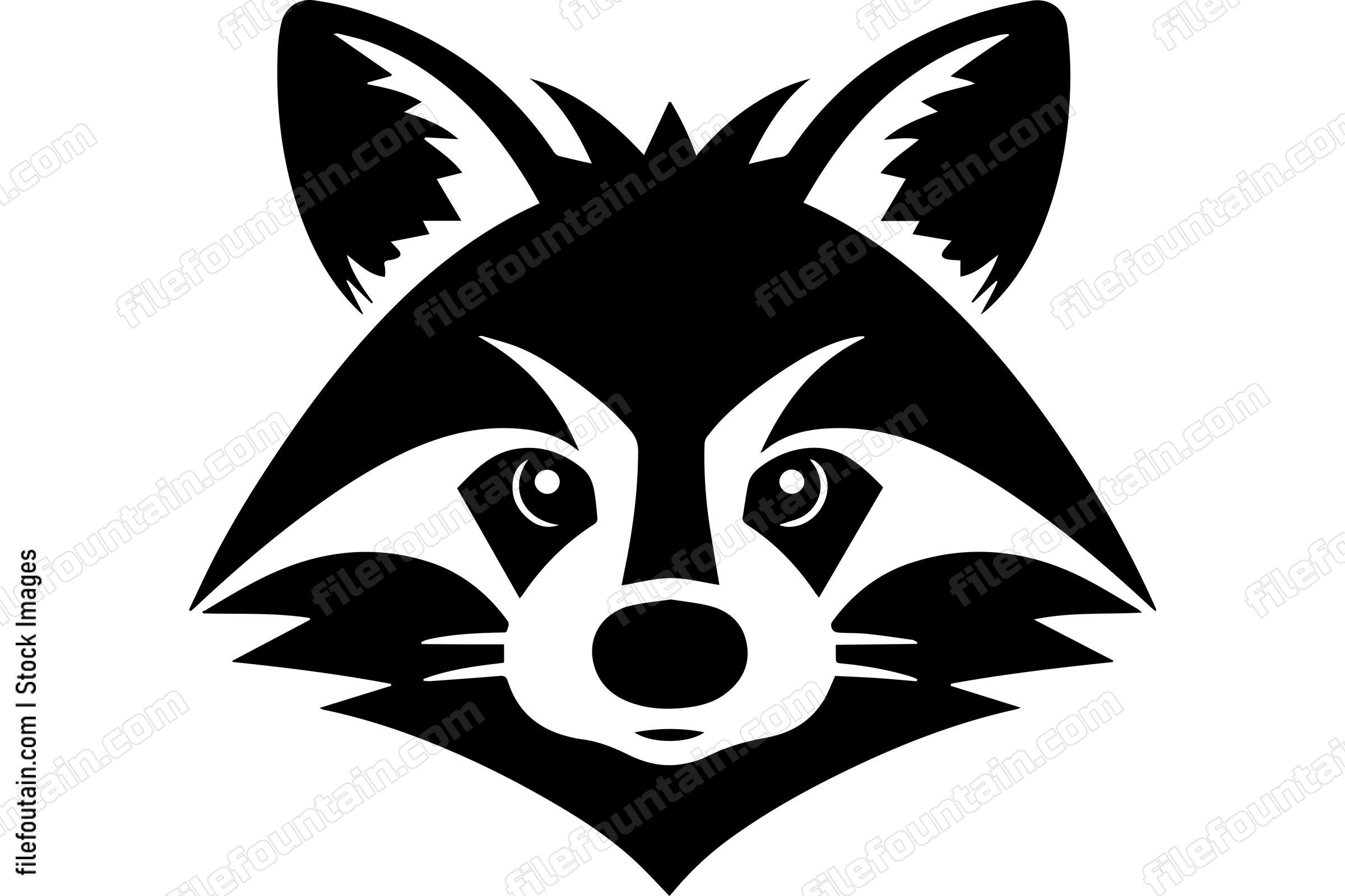 Raccoon