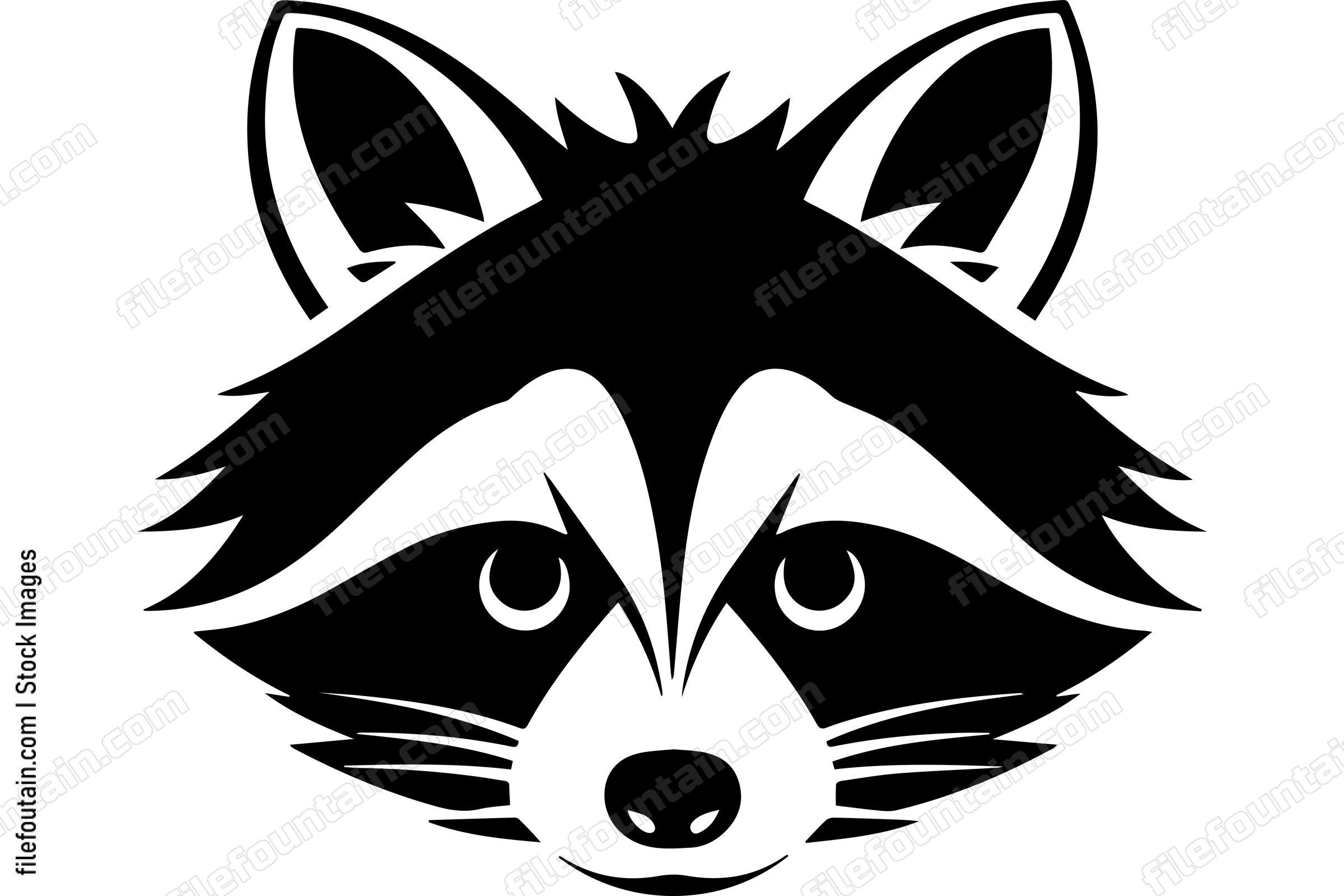 Raccoon