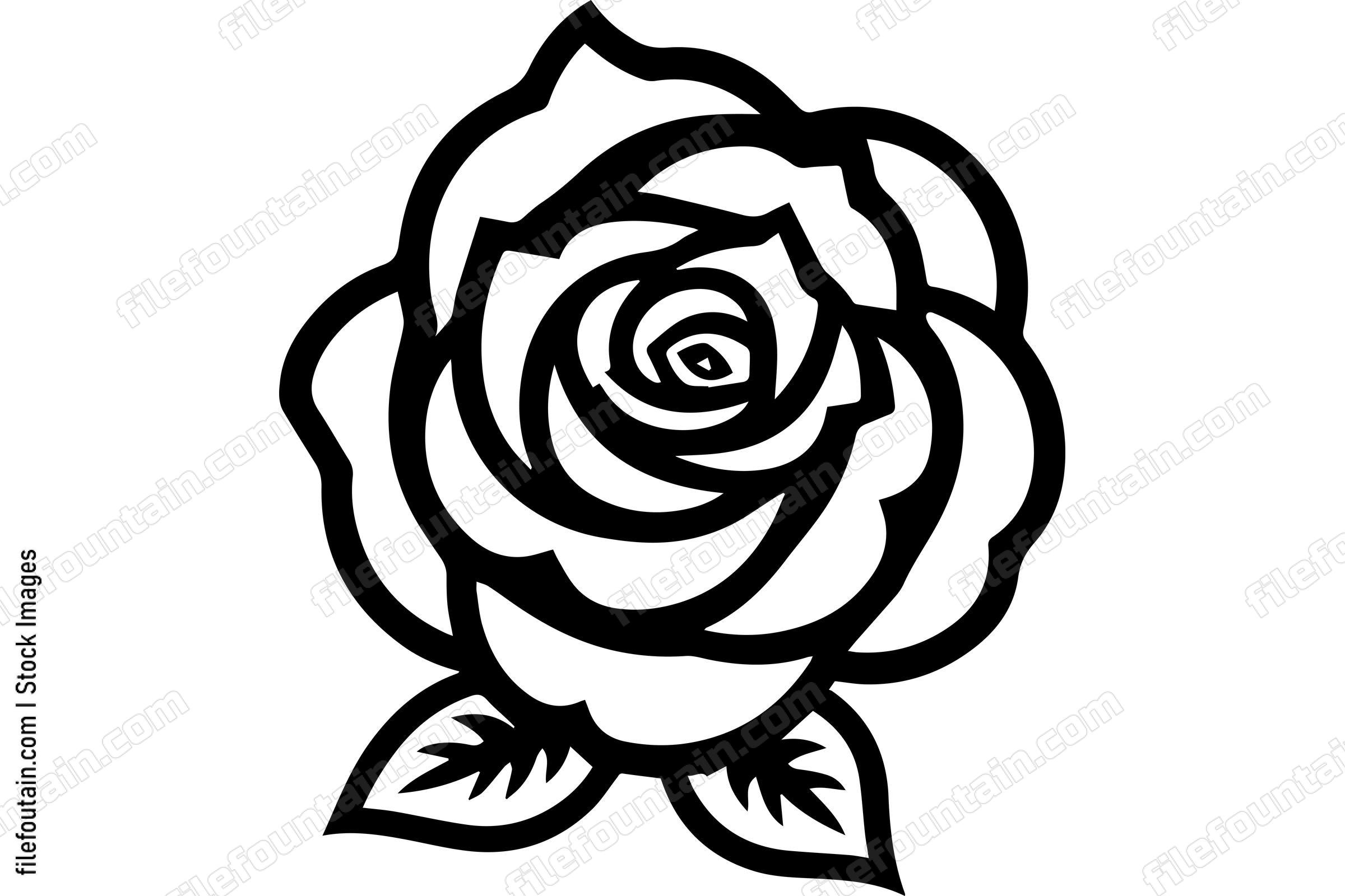 Rose Flower