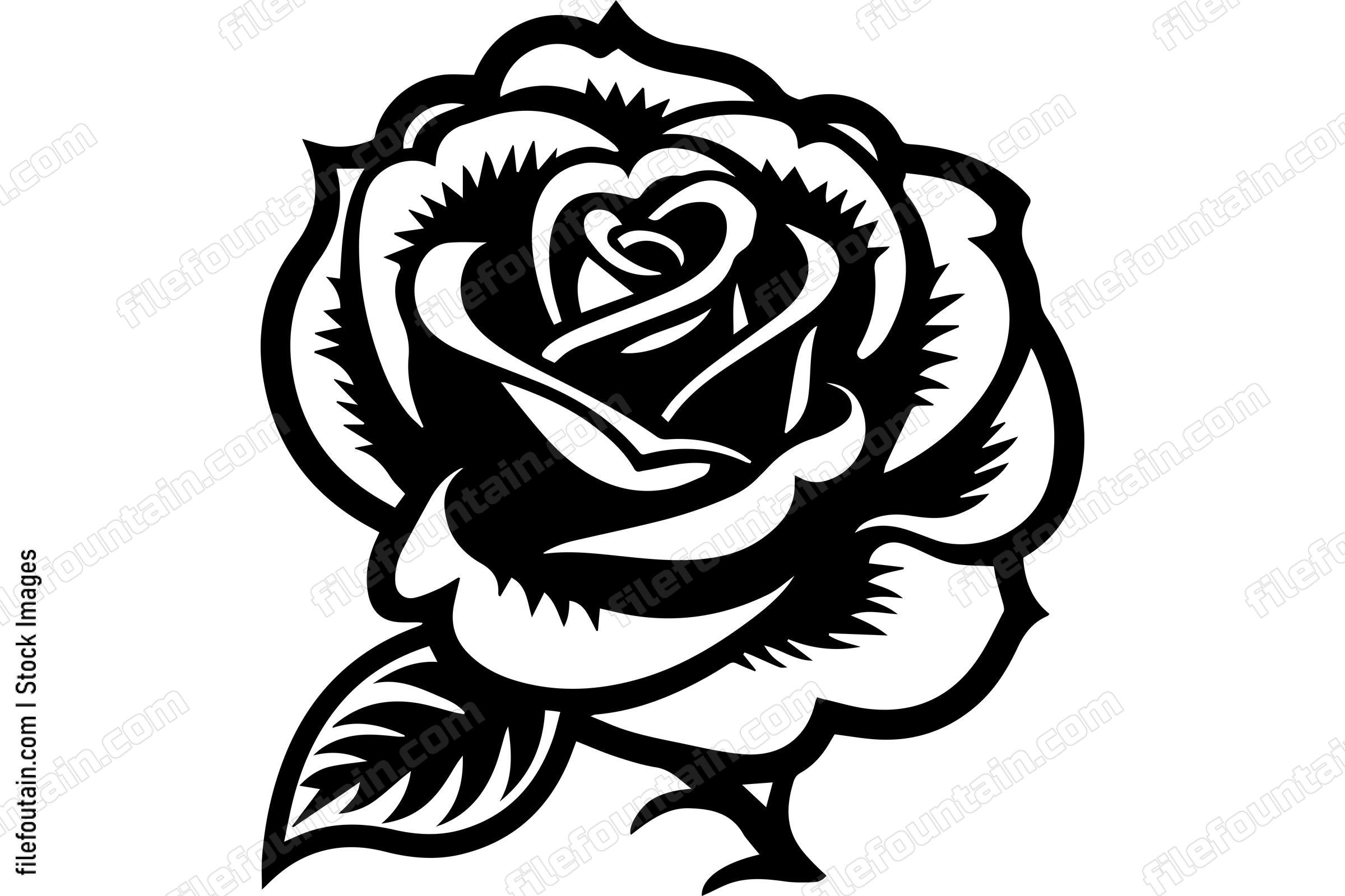 Rose Flower