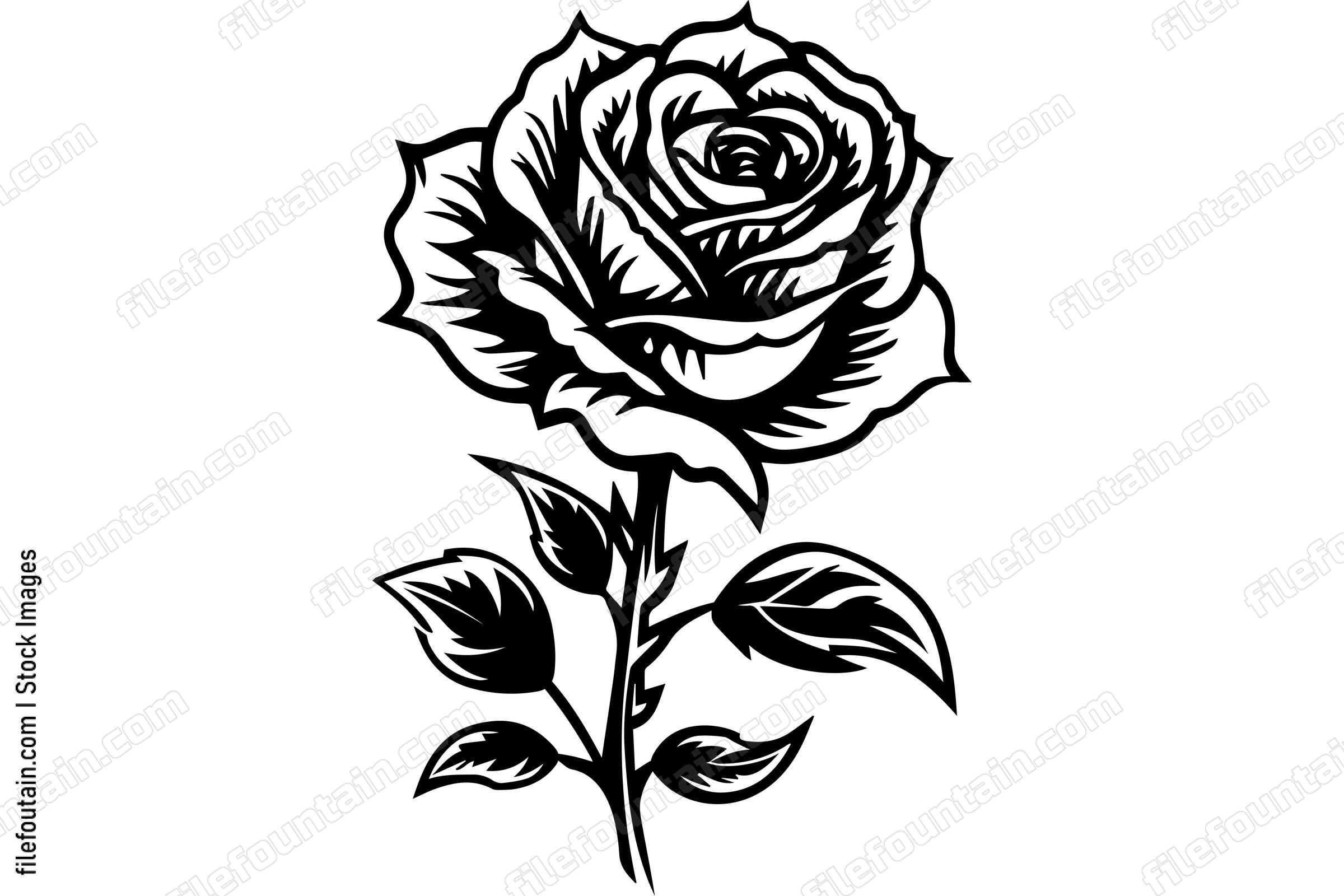 Rose Flower