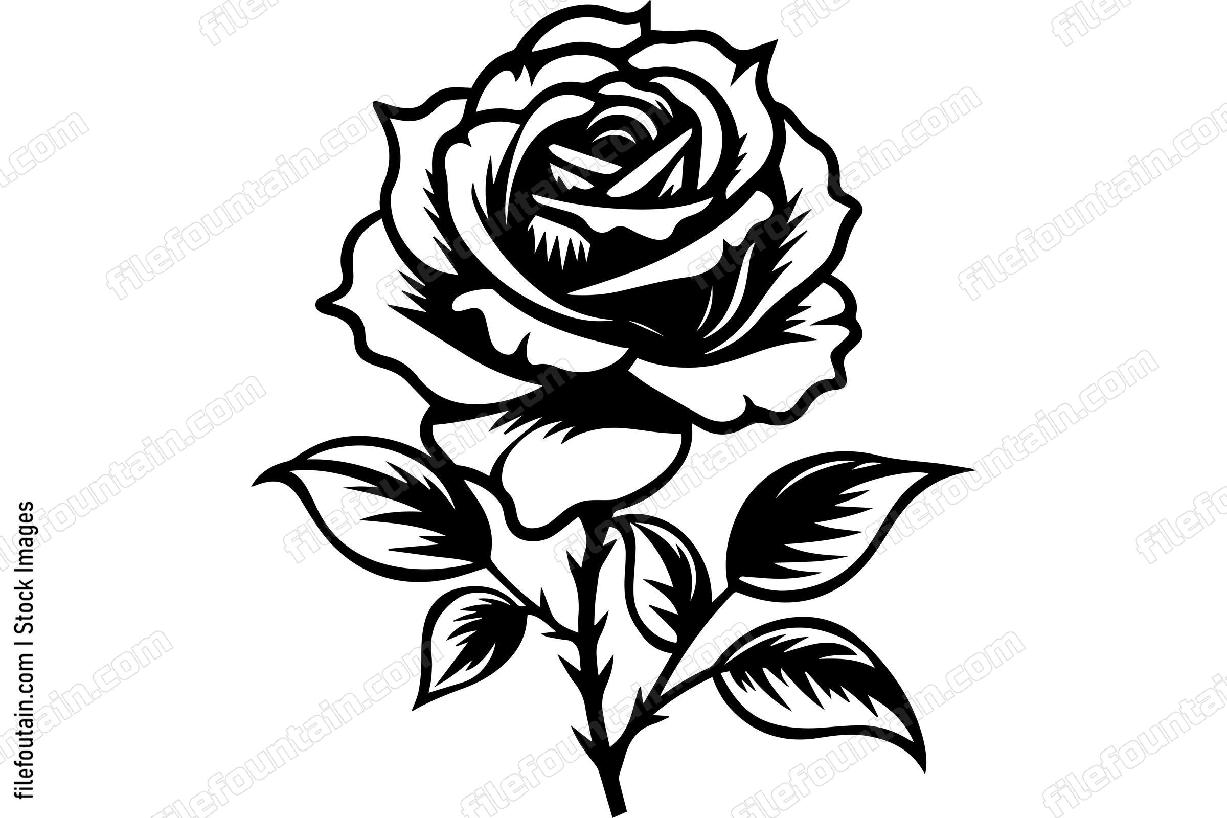 Rose Flower