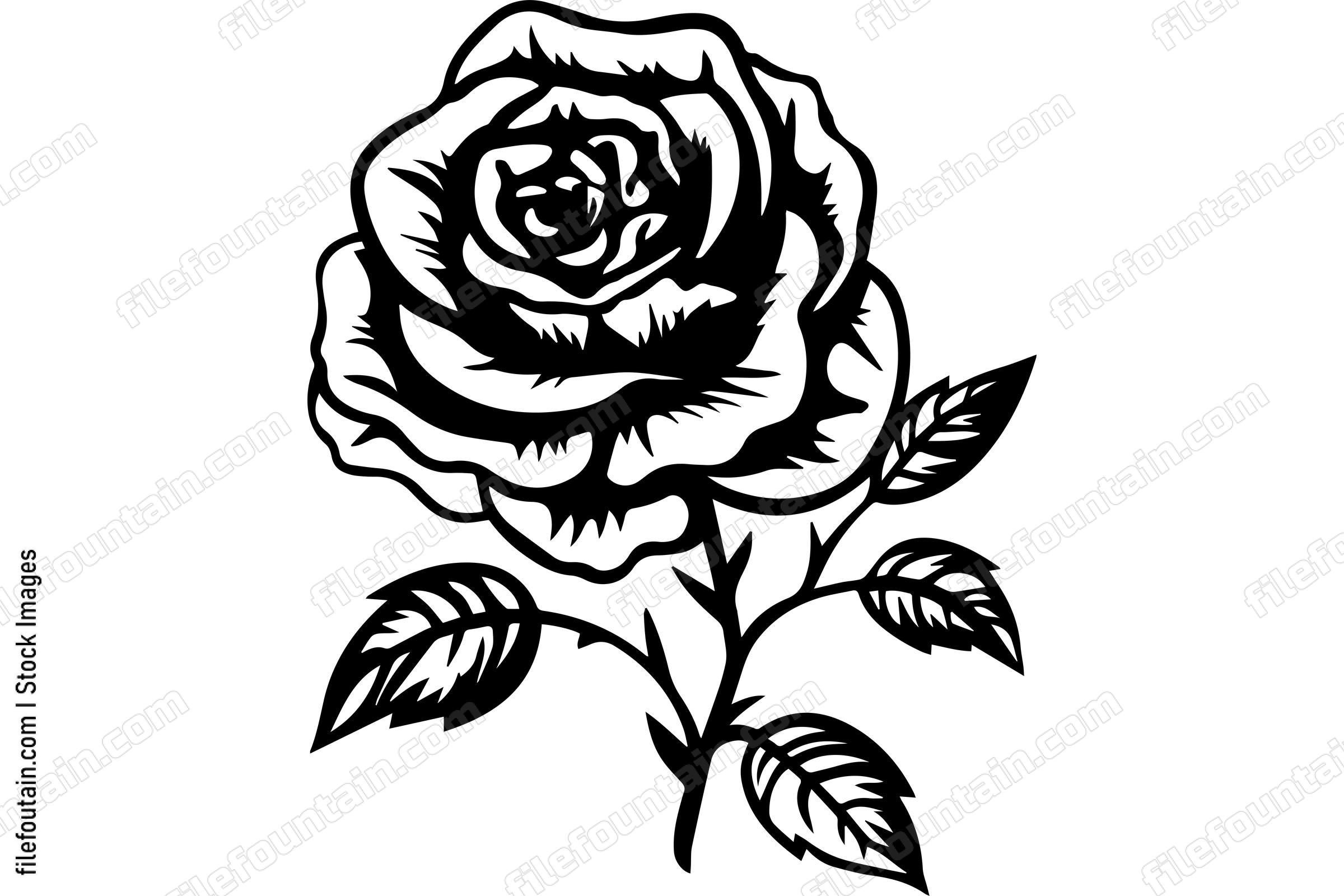Rose Flower