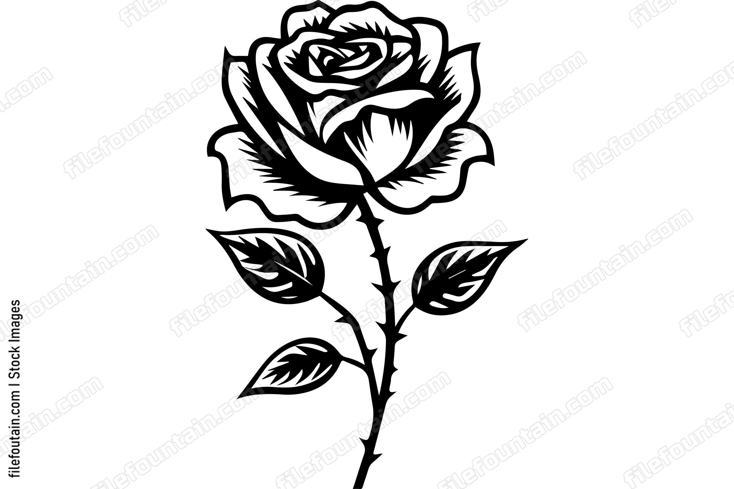 Rose Flower