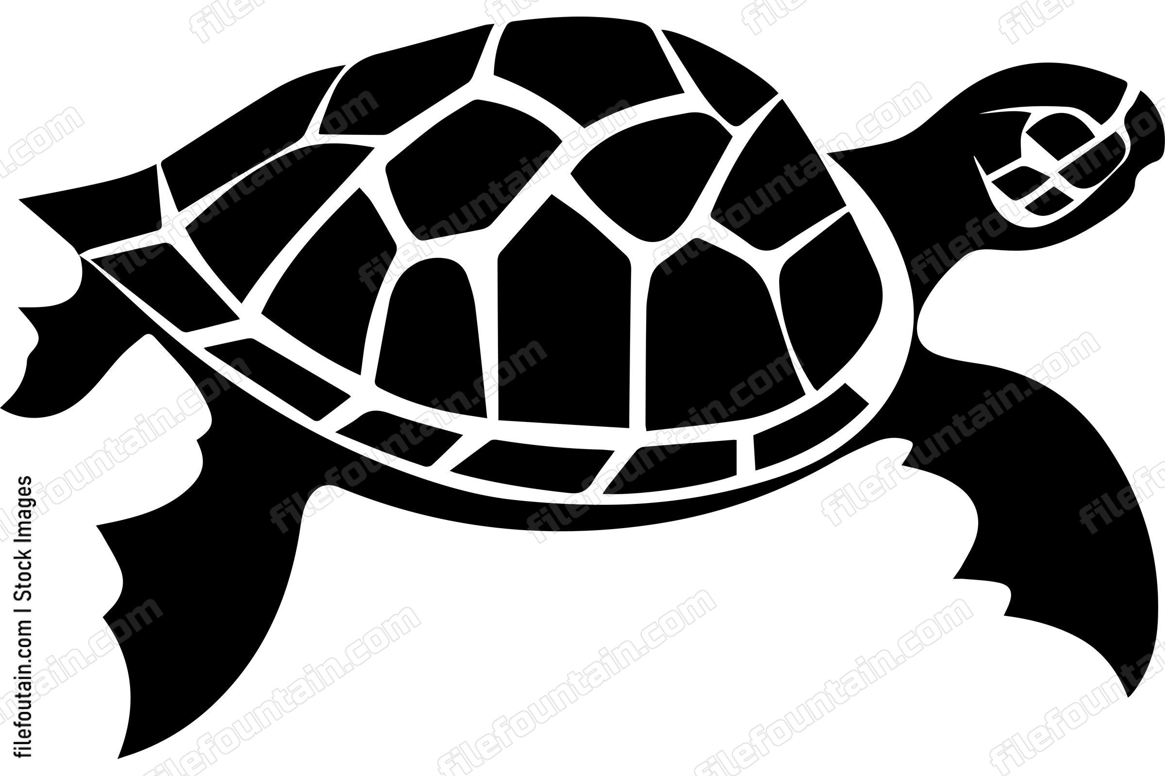 Sea Turtle