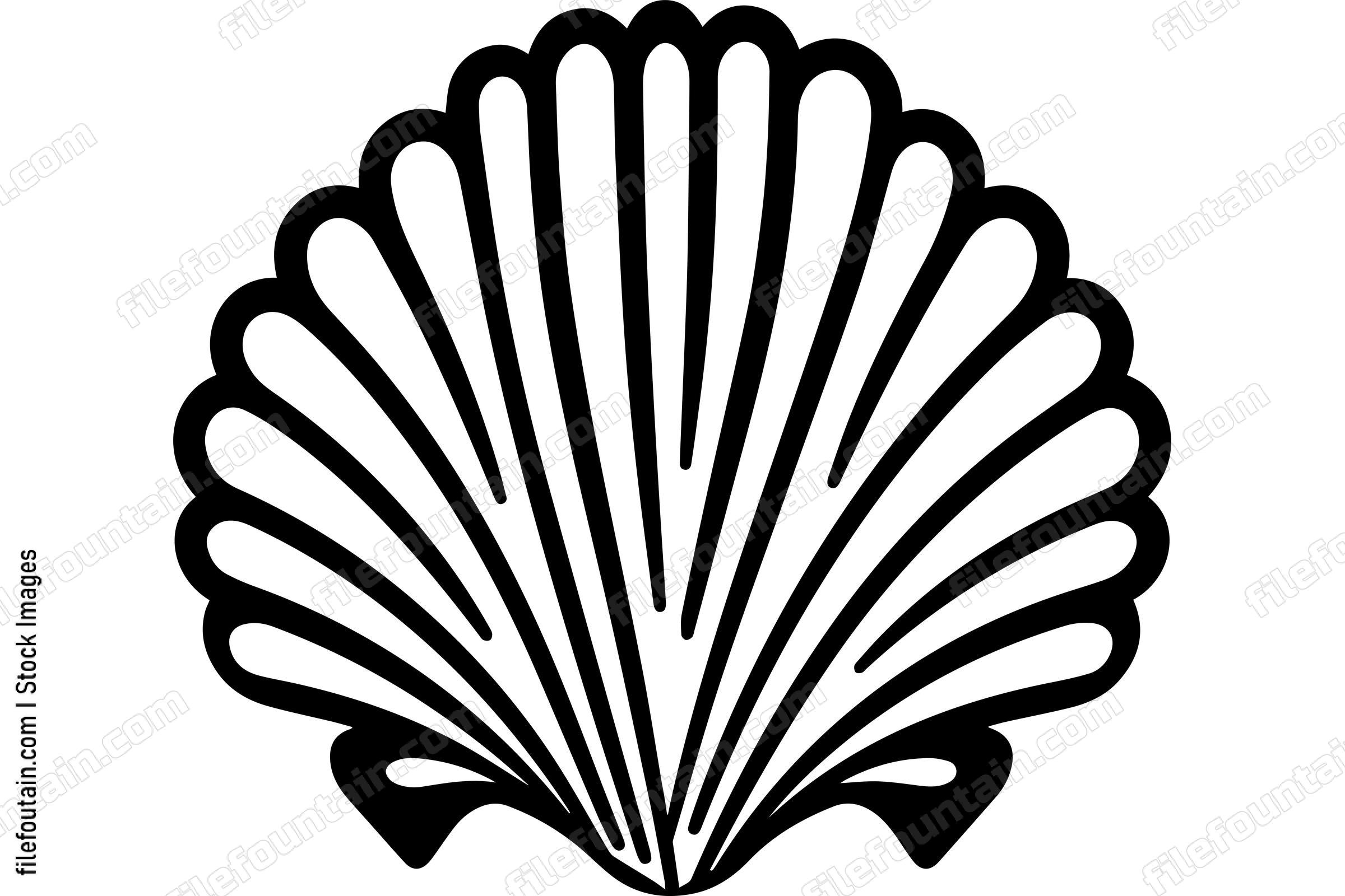 Seashell